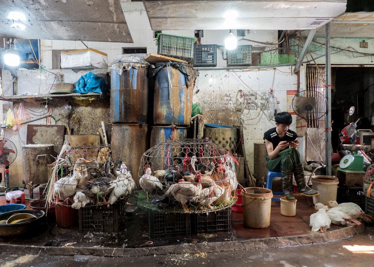 Hanoi - Thieves Market