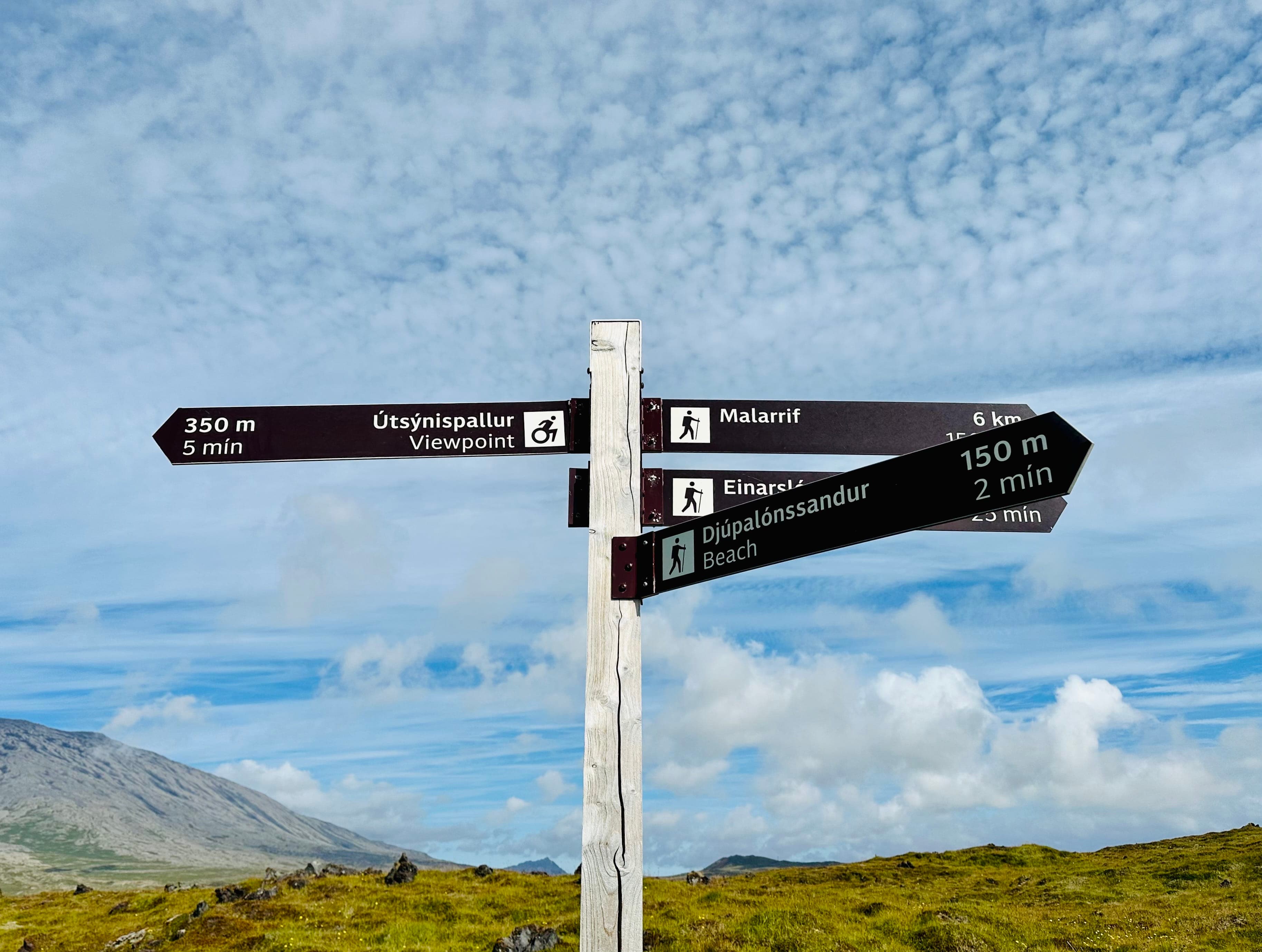 Iceland Solar Eclipse 2026 – Snæfellsnes Experience with Home-Cooked Dinner by Minibus