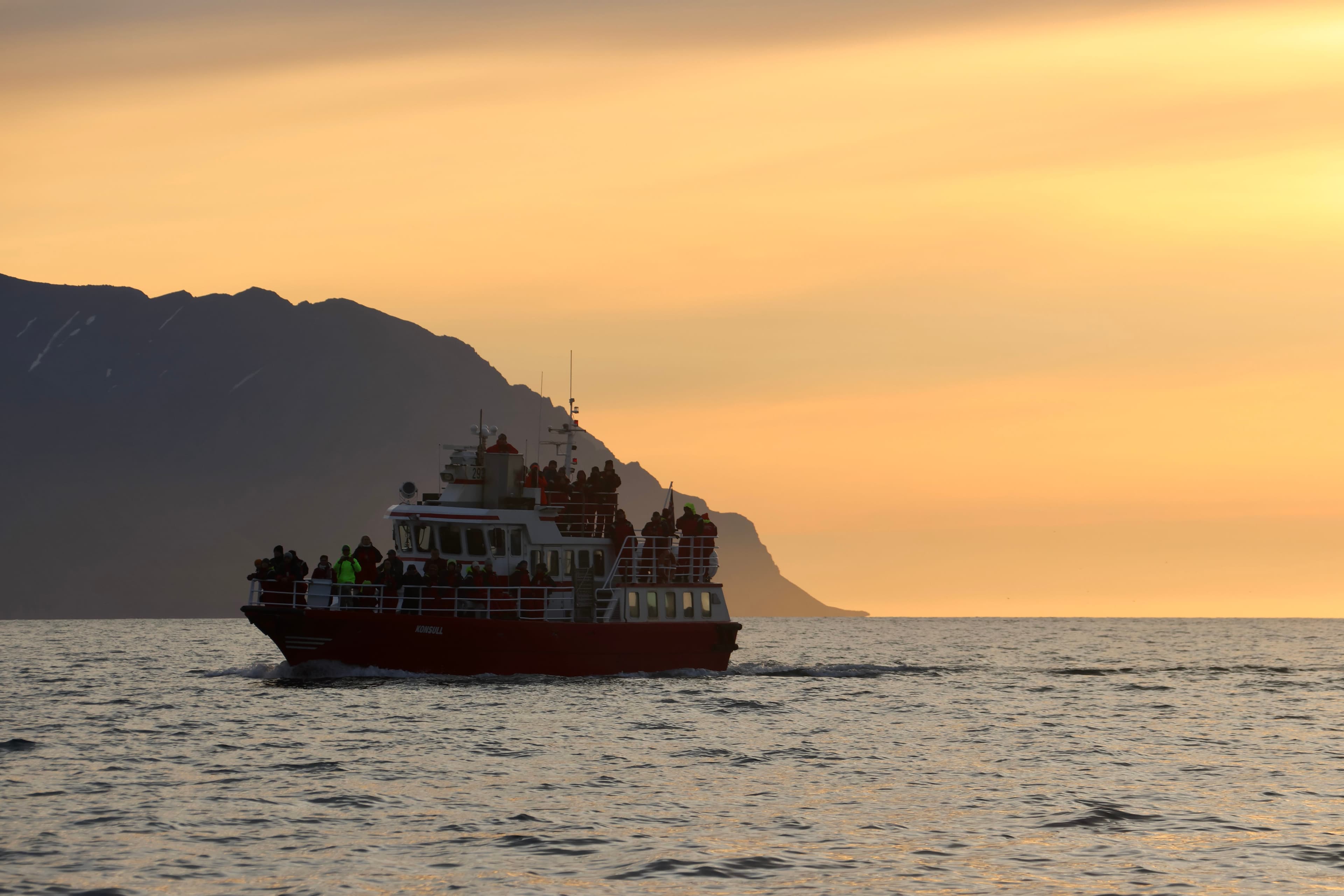 Akureyri Classic Whales in the Midnight Sun