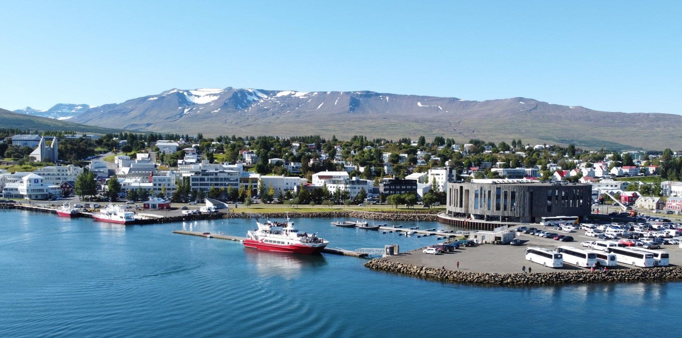 Akureyri Express Whales in the Midnight Sun