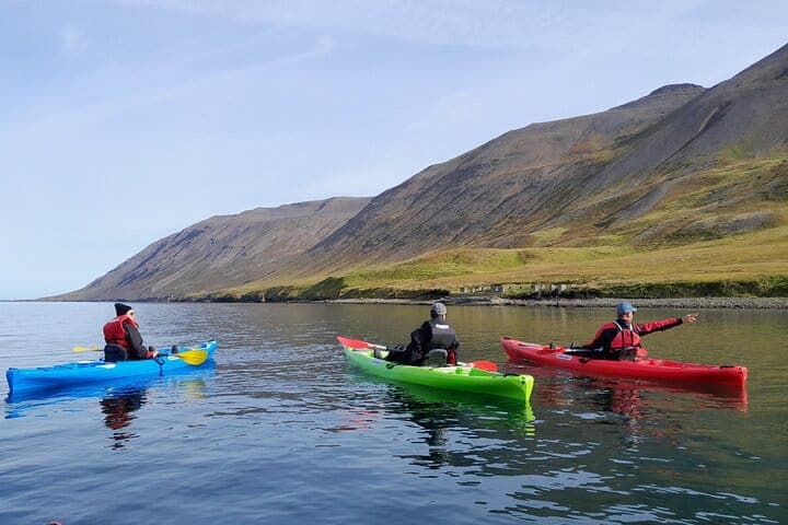 Guided kayak tour in Siglufjörður / Siglufjordur.
