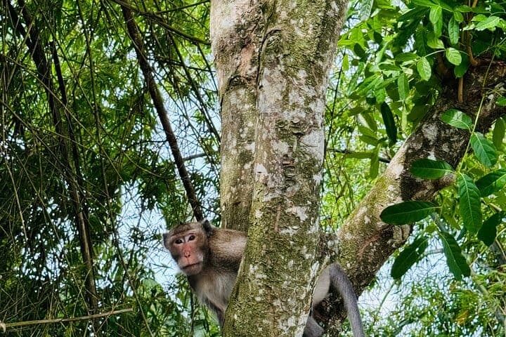 U Minh Thuong National Park Deep Exploration
