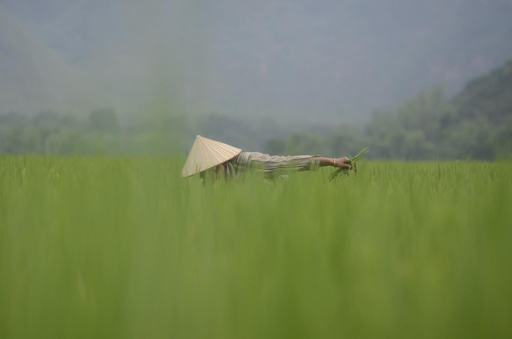 Ninh Binh Photo Explorer