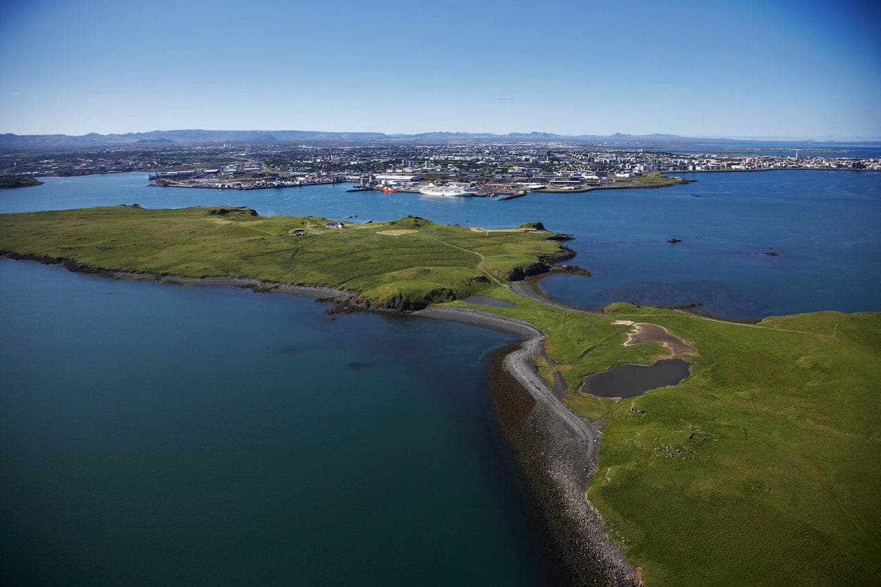 Reykjavík Whales & Viðey Island