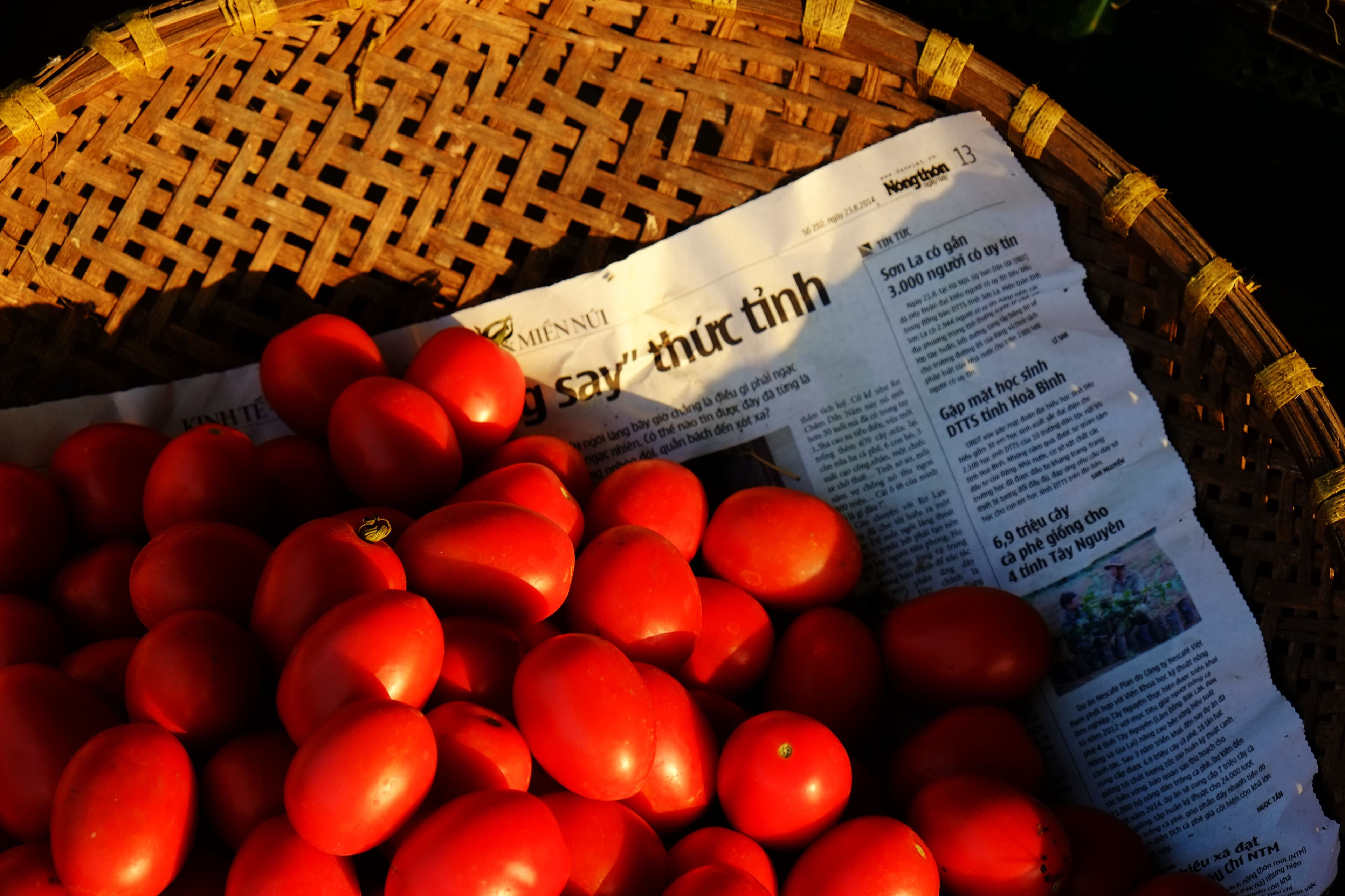 Hanoi Long Bien Sunrise Photo Tour