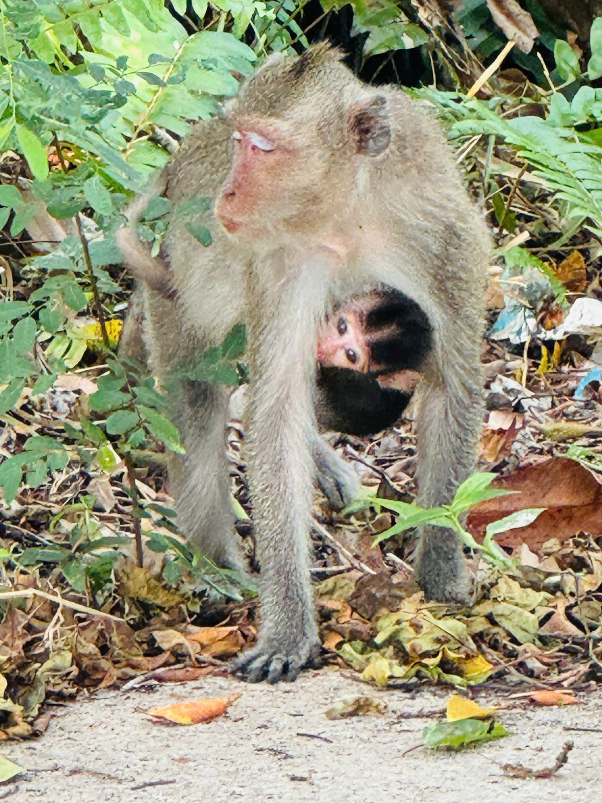 U Minh Thuong National Park Deep Exploration