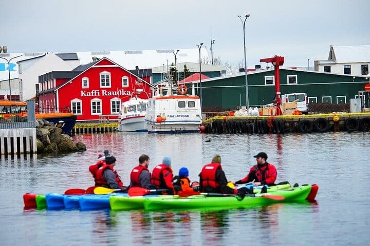 Guided kayak tour in Siglufjörður / Siglufjordur.