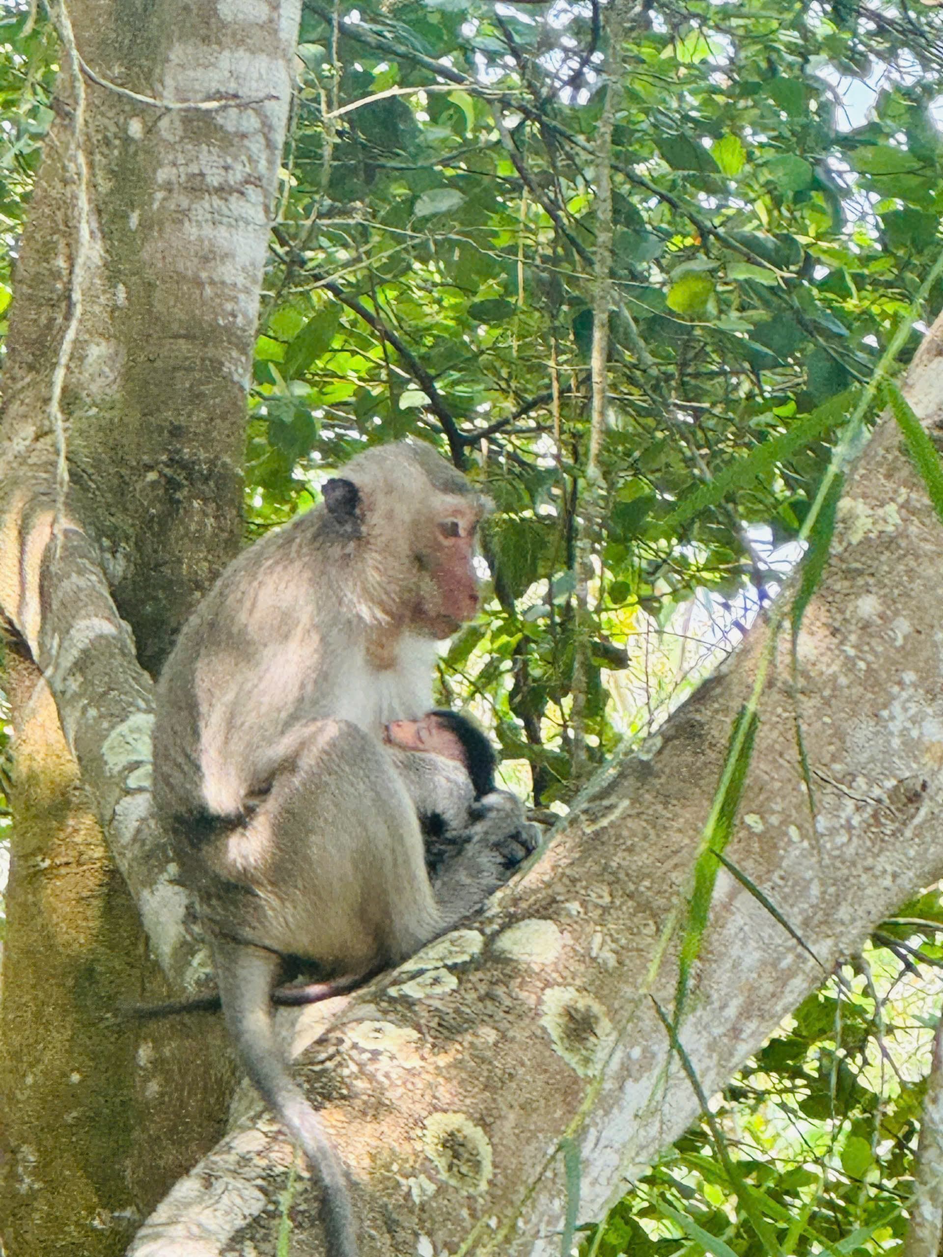 U Minh Thuong National Park Deep Exploration