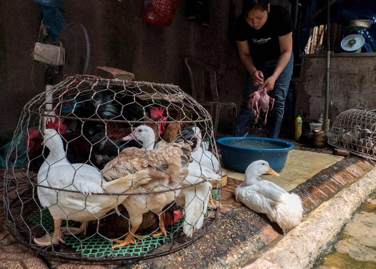 Hanoi - Thieves Market