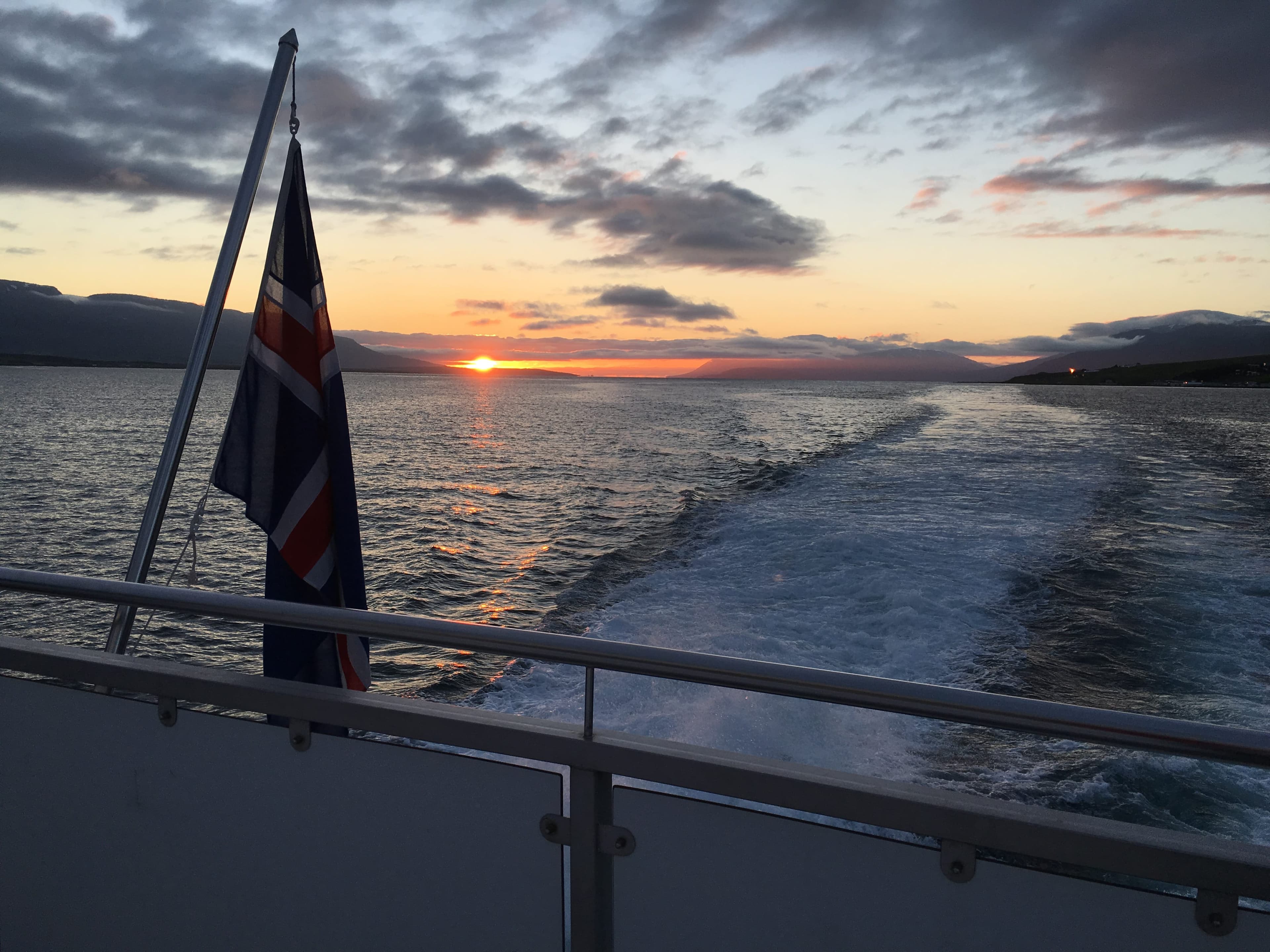 Akureyri Classic Whales in the Midnight Sun