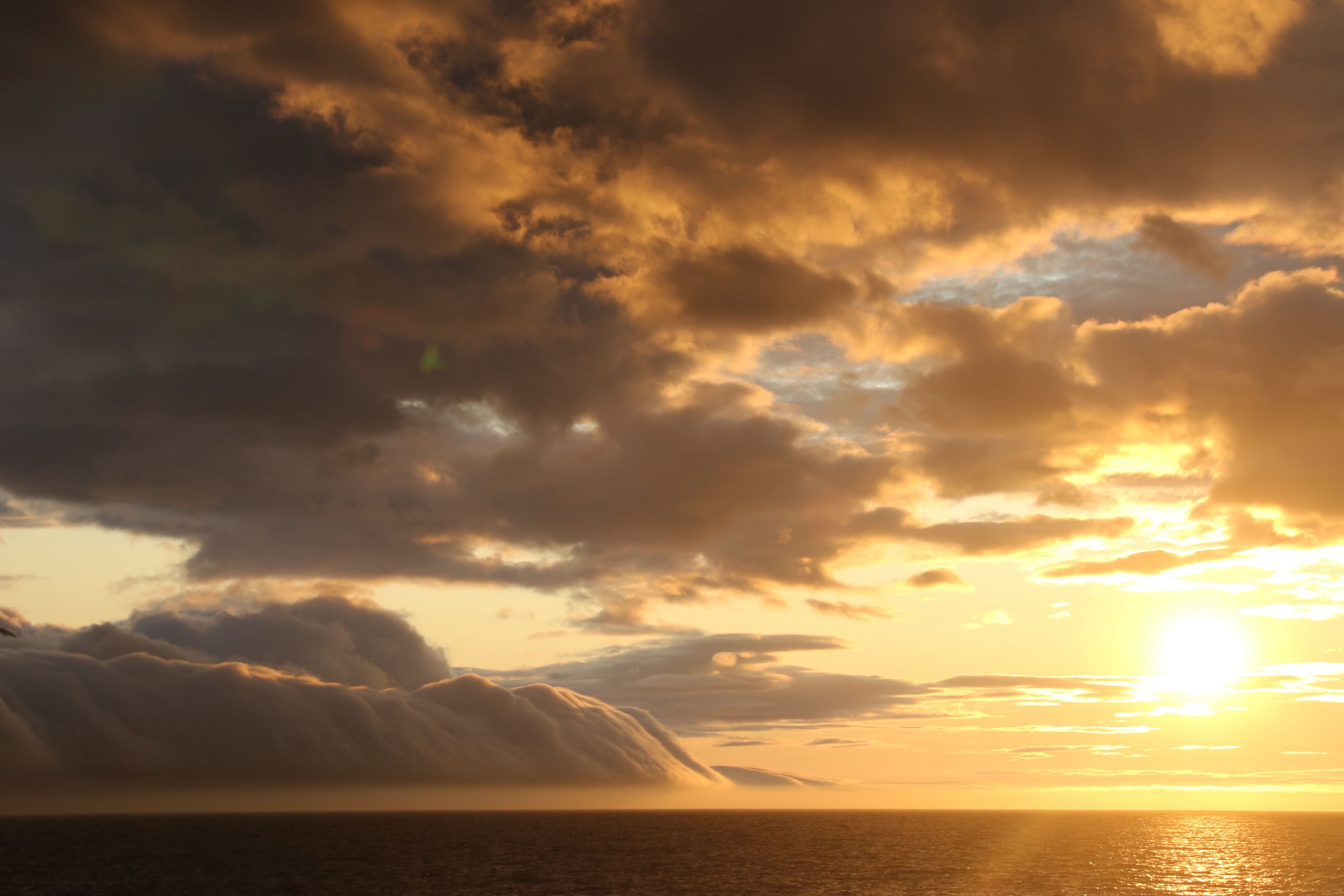 Akureyri Classic Whales in the Midnight Sun
