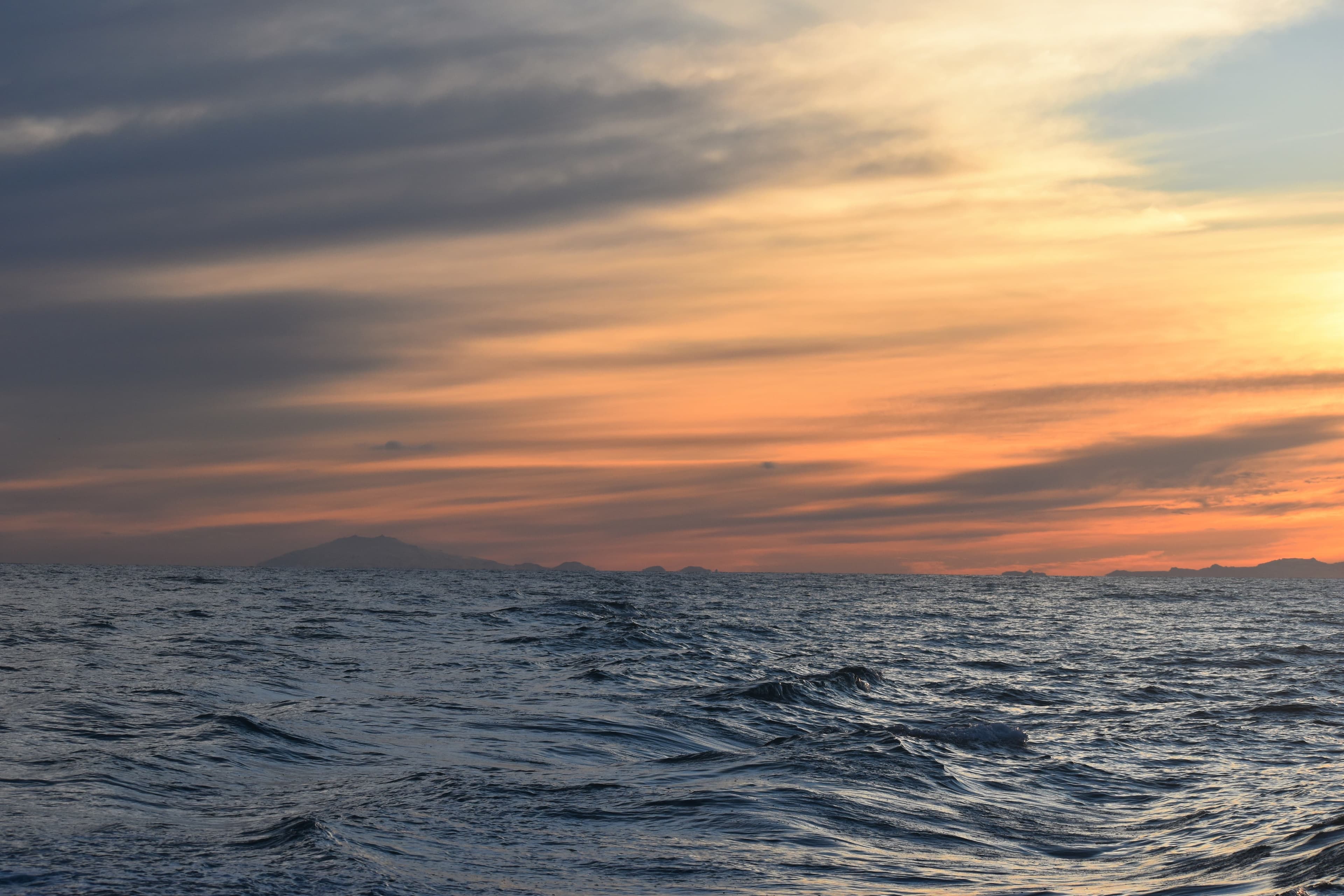 Akureyri Express Whales in the Midnight Sun