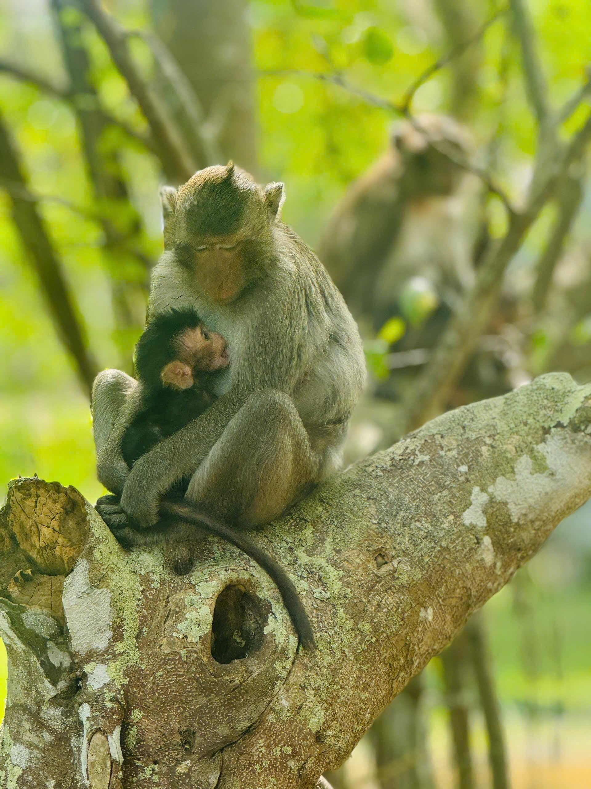 U Minh Thuong National Park Deep Exploration