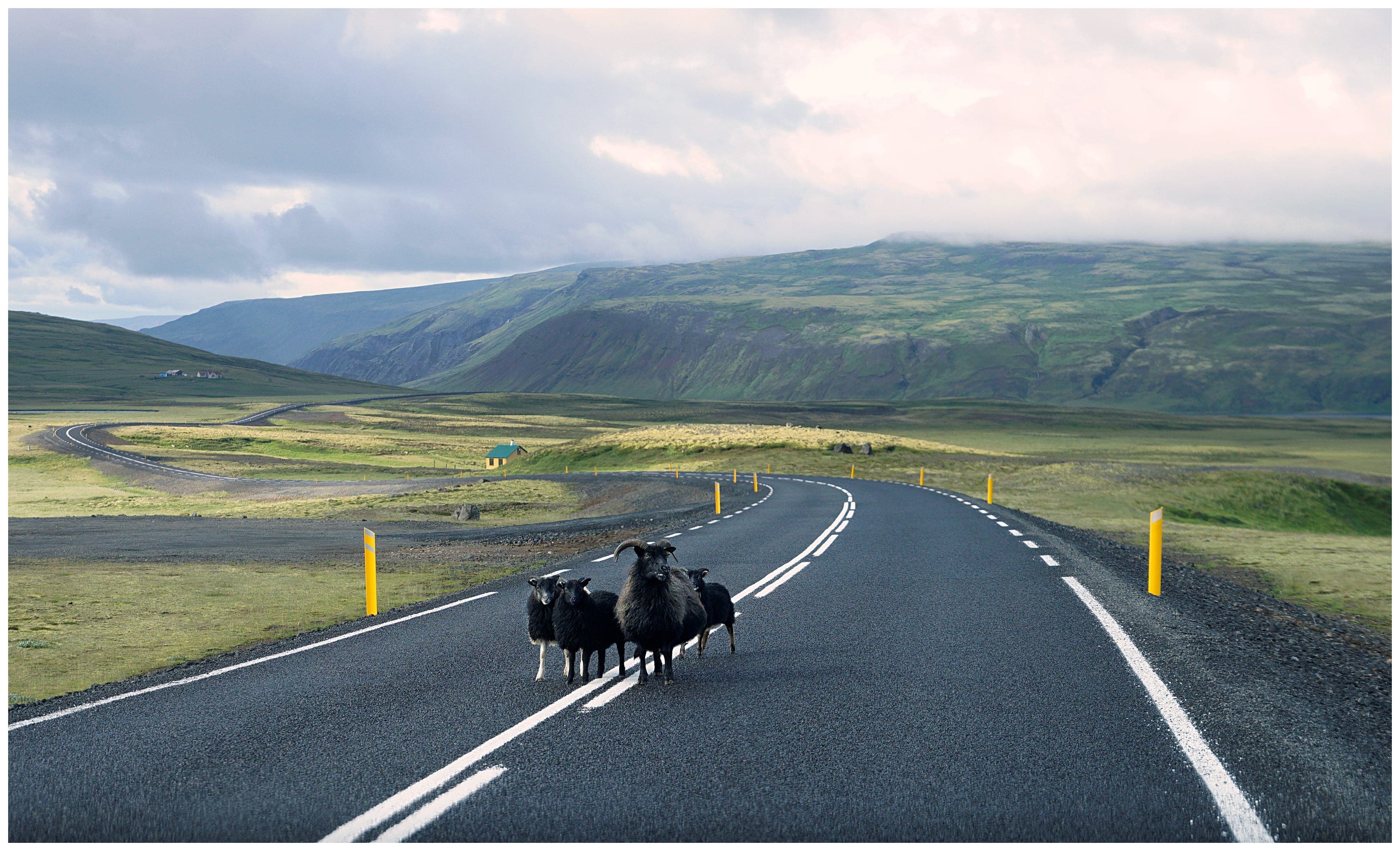 Iceland Solar Eclipse 2026 – Snæfellsnes Experience with Home-Cooked Dinner by Minibus