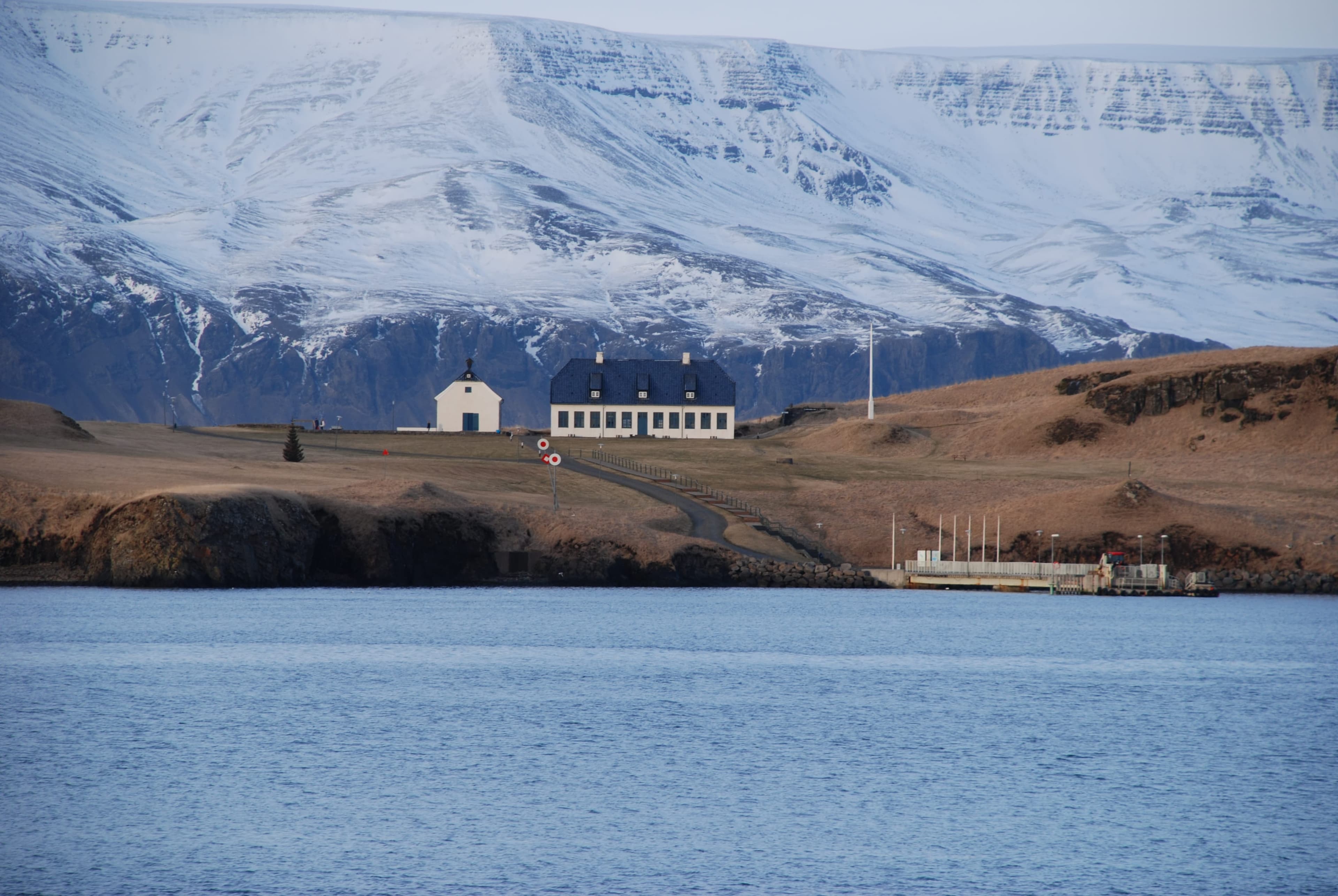 Reykjavík Whales & Viðey Island