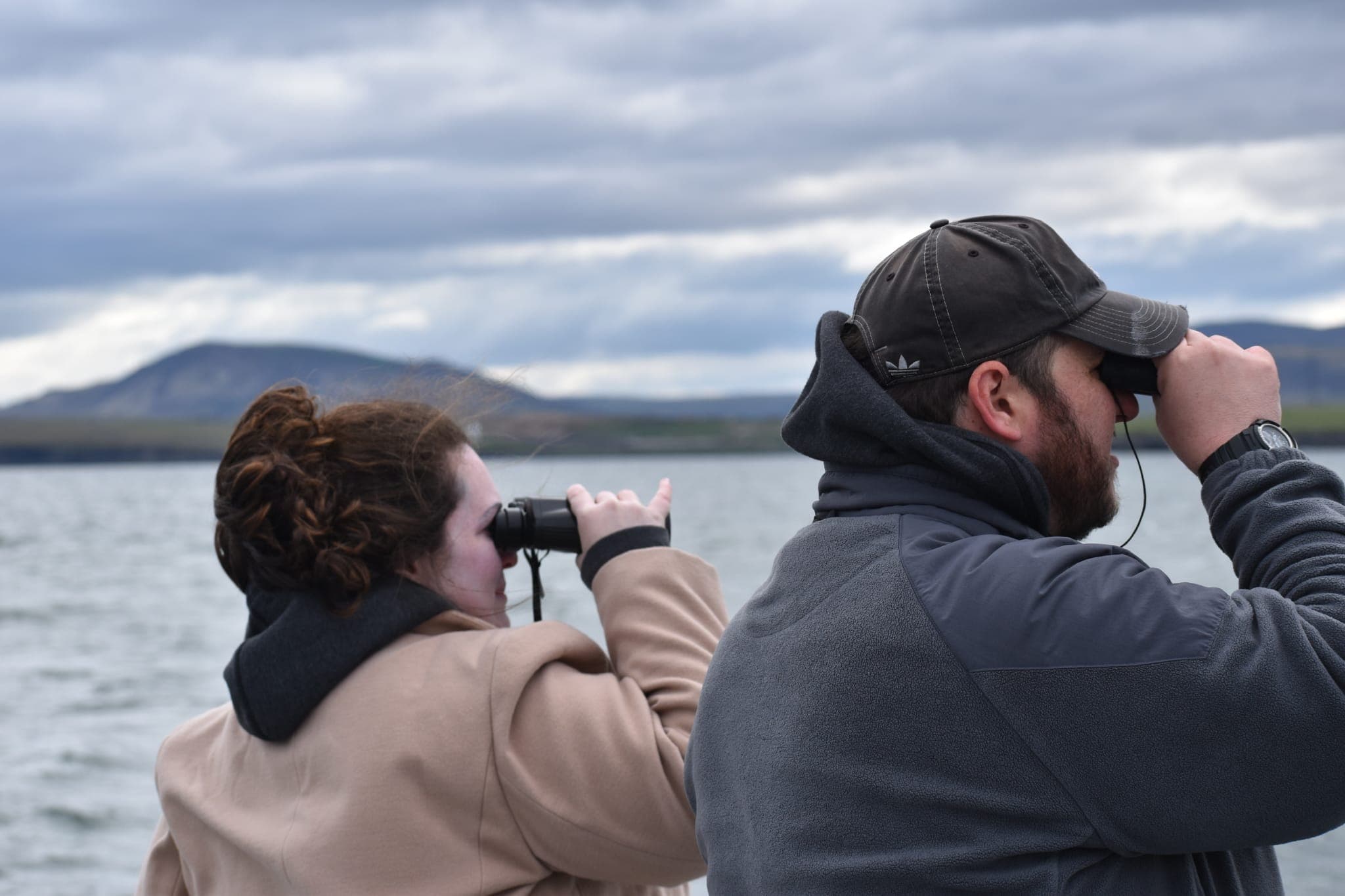 Reykjavík Classic Puffin Watching