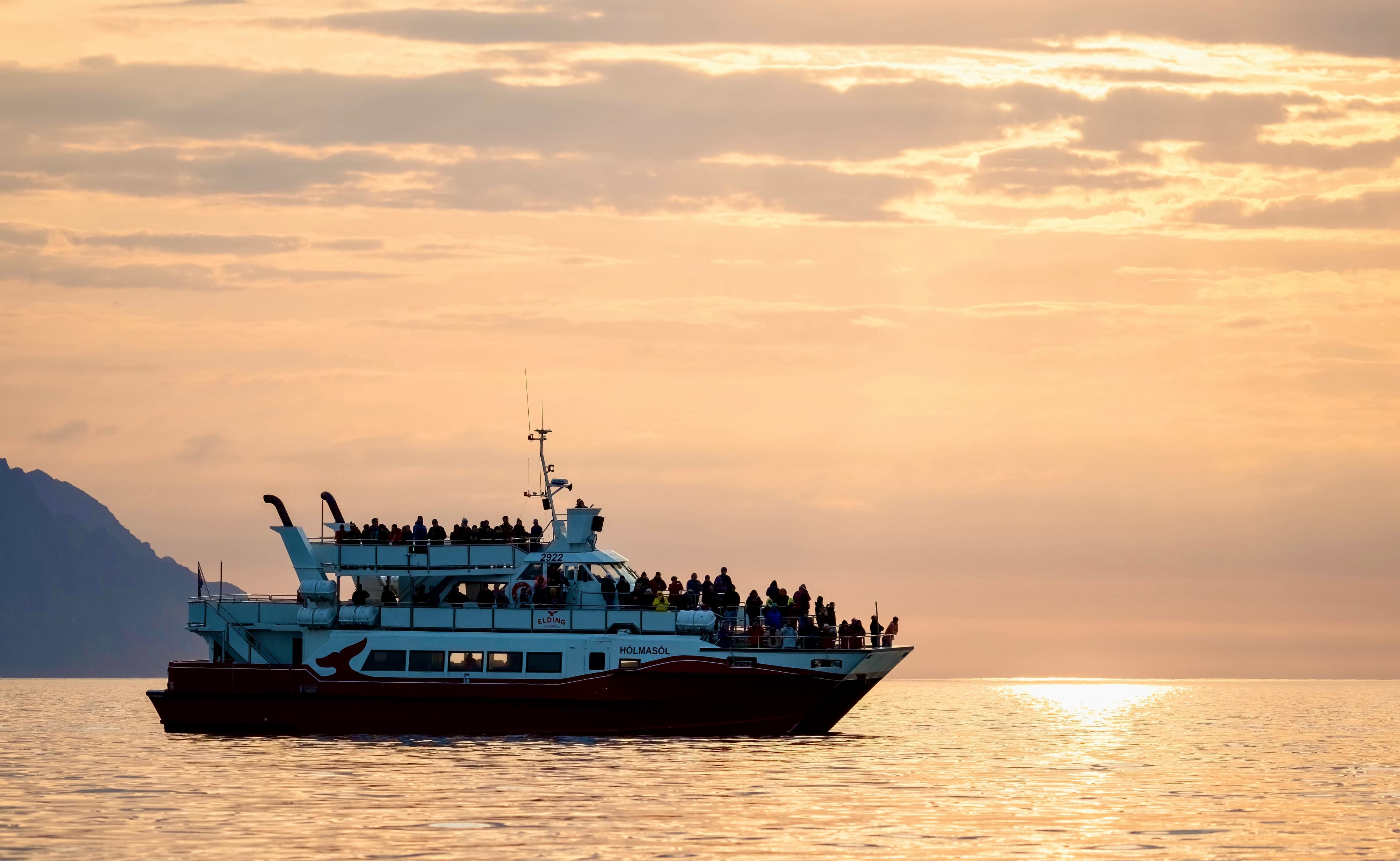 Akureyri Classic Whales in the Midnight Sun