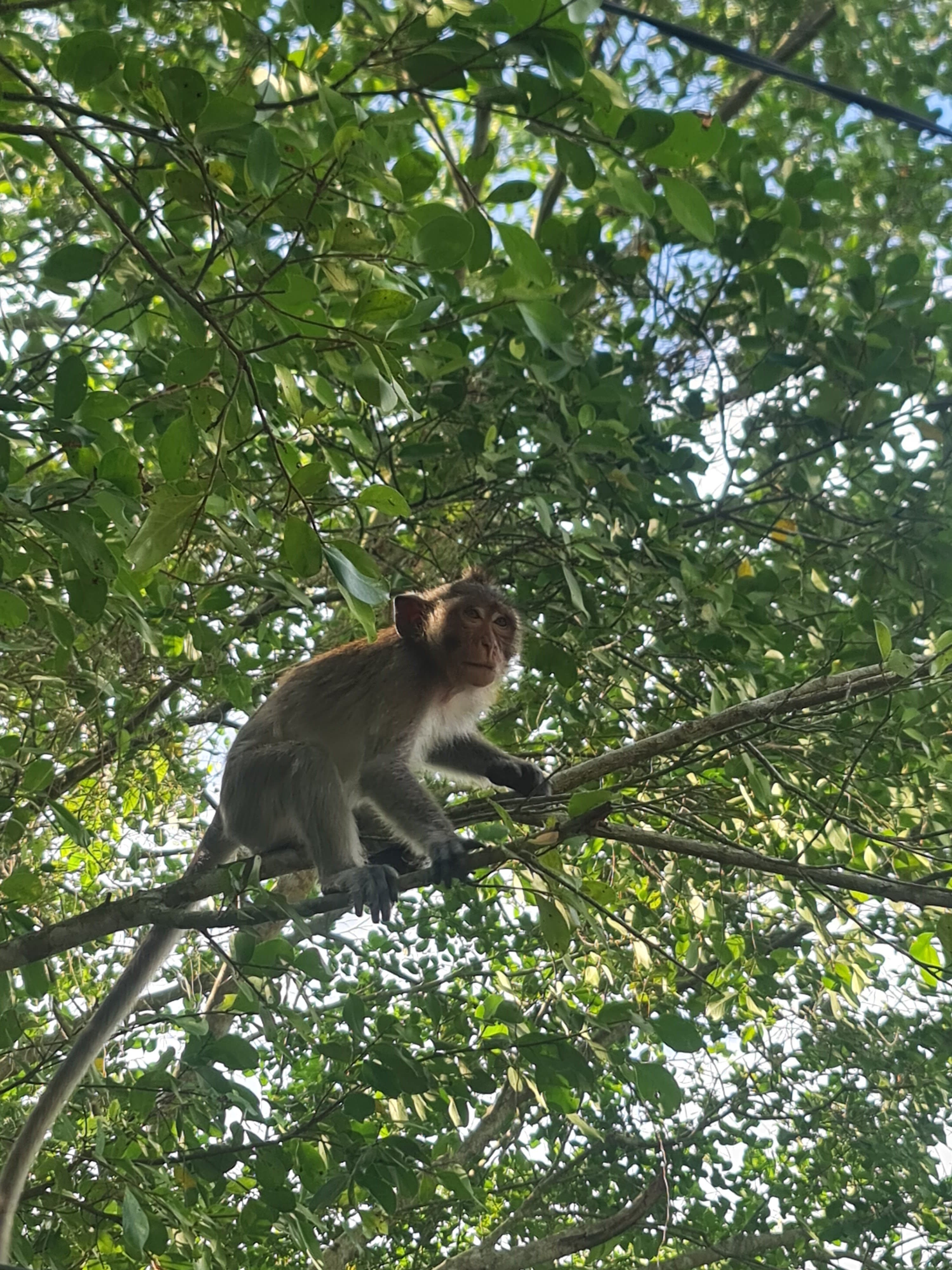 U Minh Thuong National Park Deep Exploration
