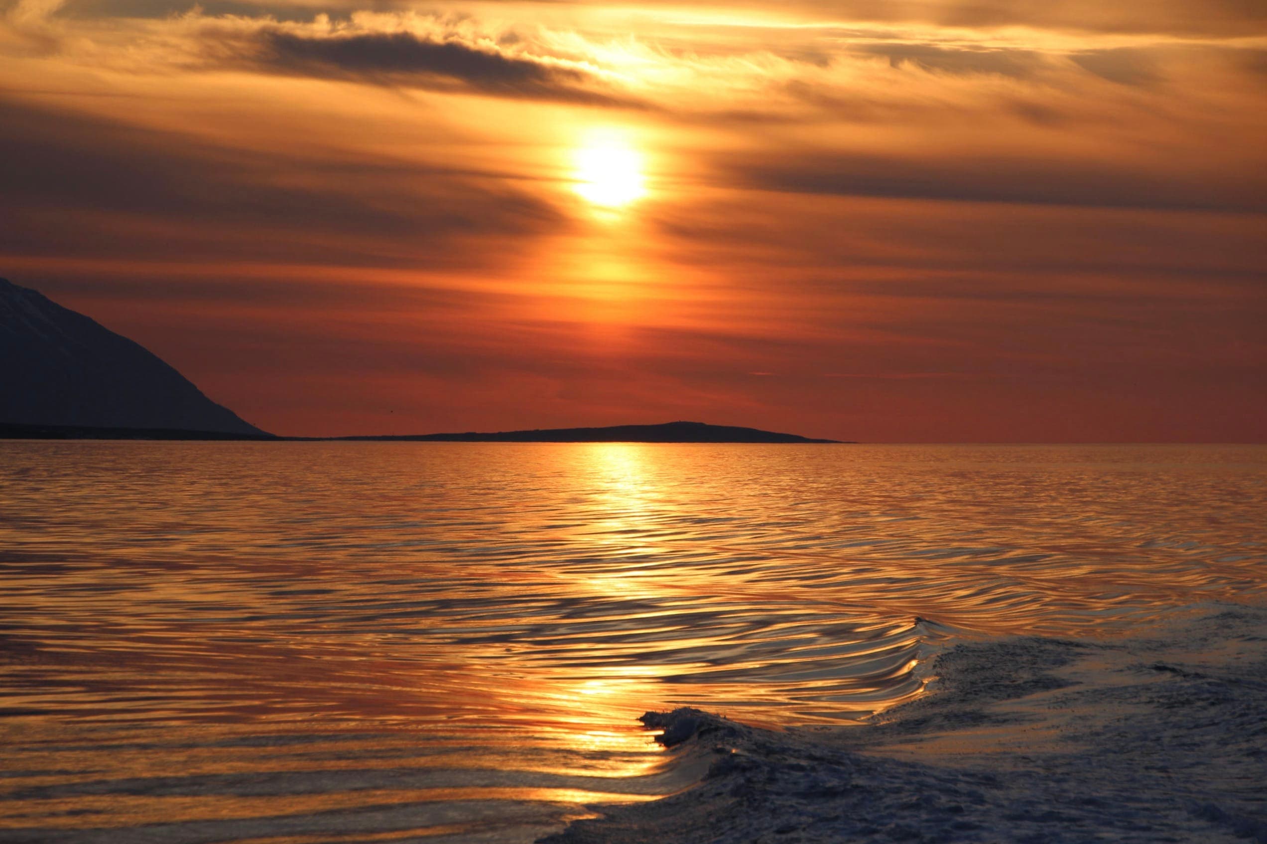 Akureyri Express Whales in the Midnight Sun