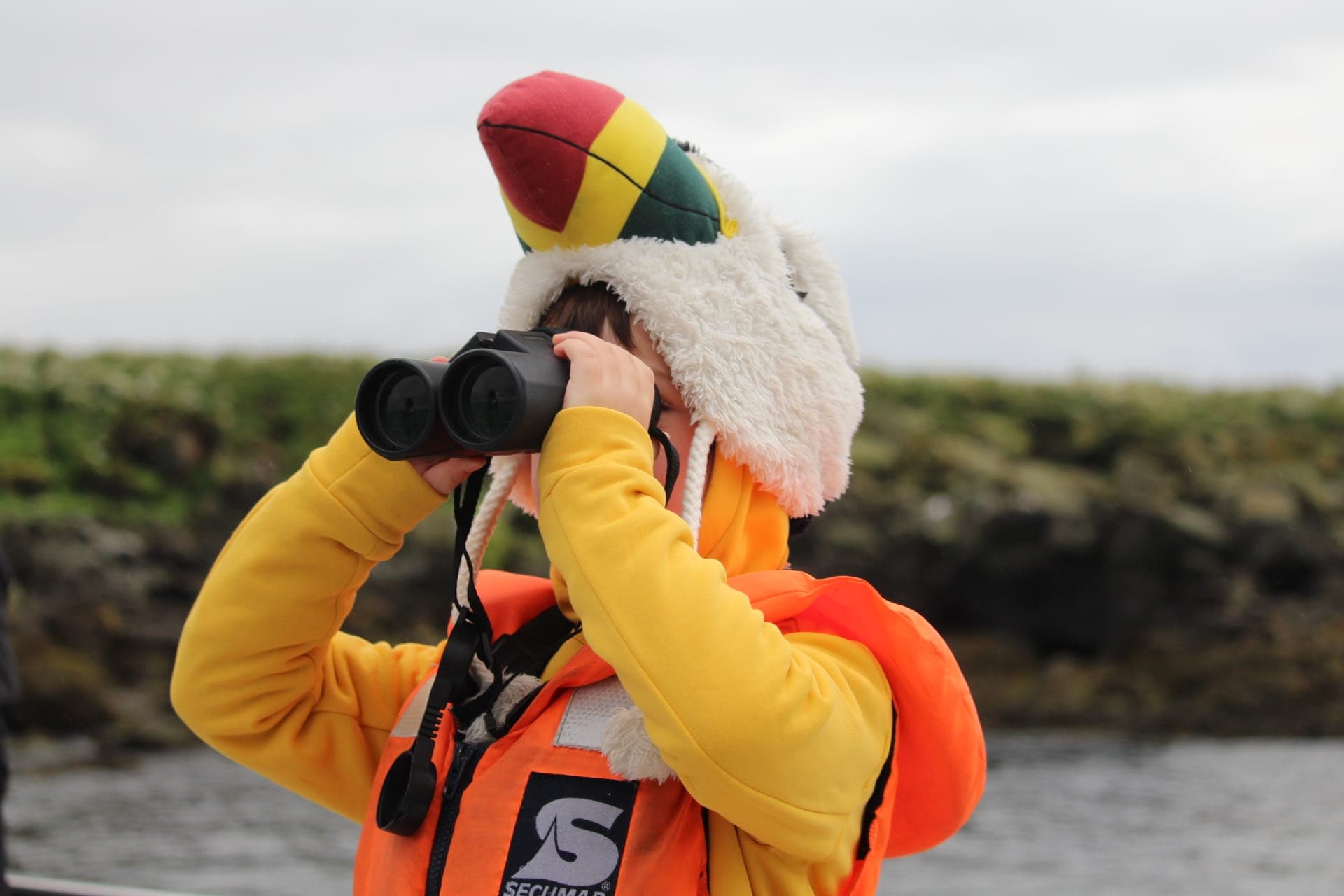 Reykjavík Classic Puffin Watching