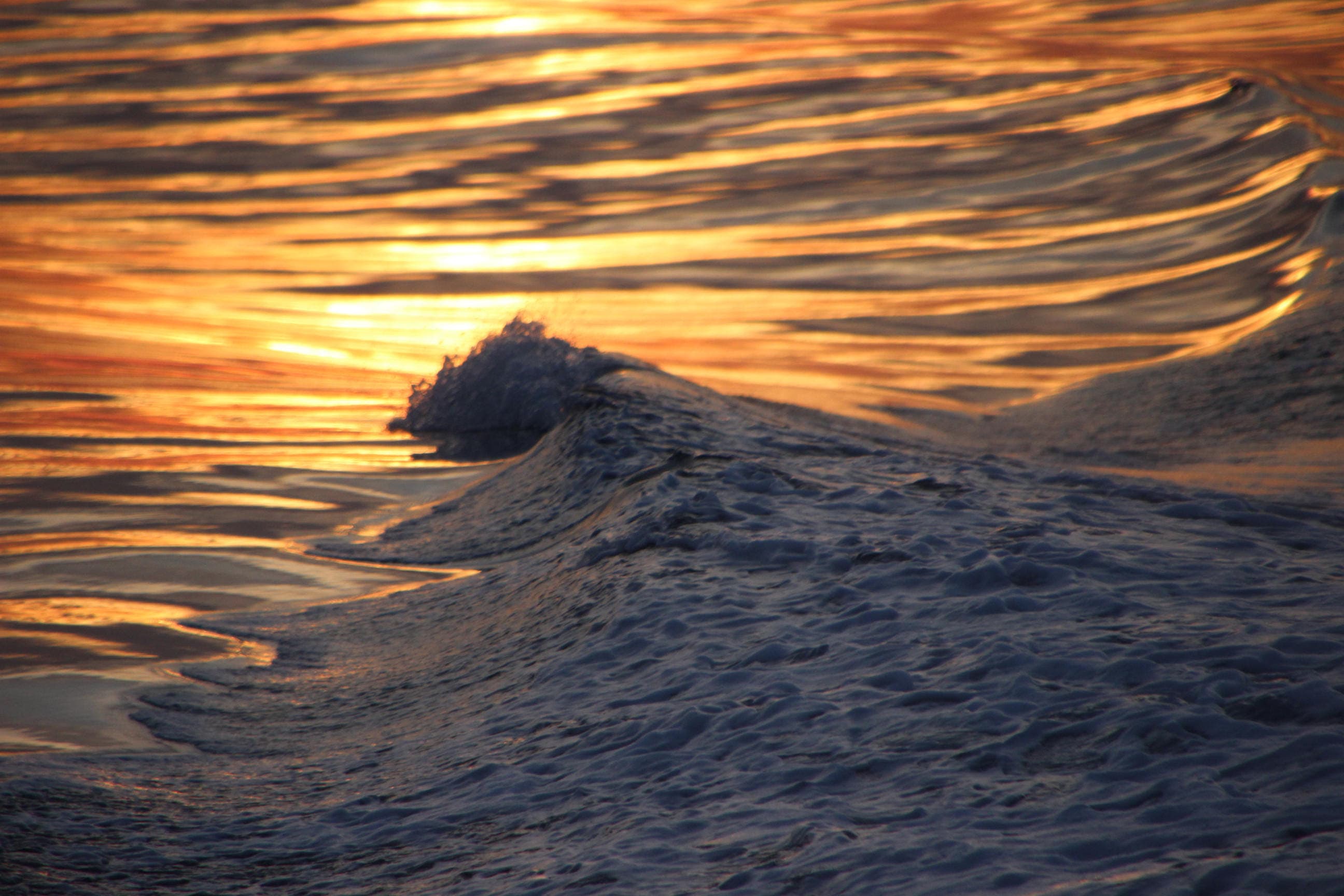 Akureyri Express Whales in the Midnight Sun