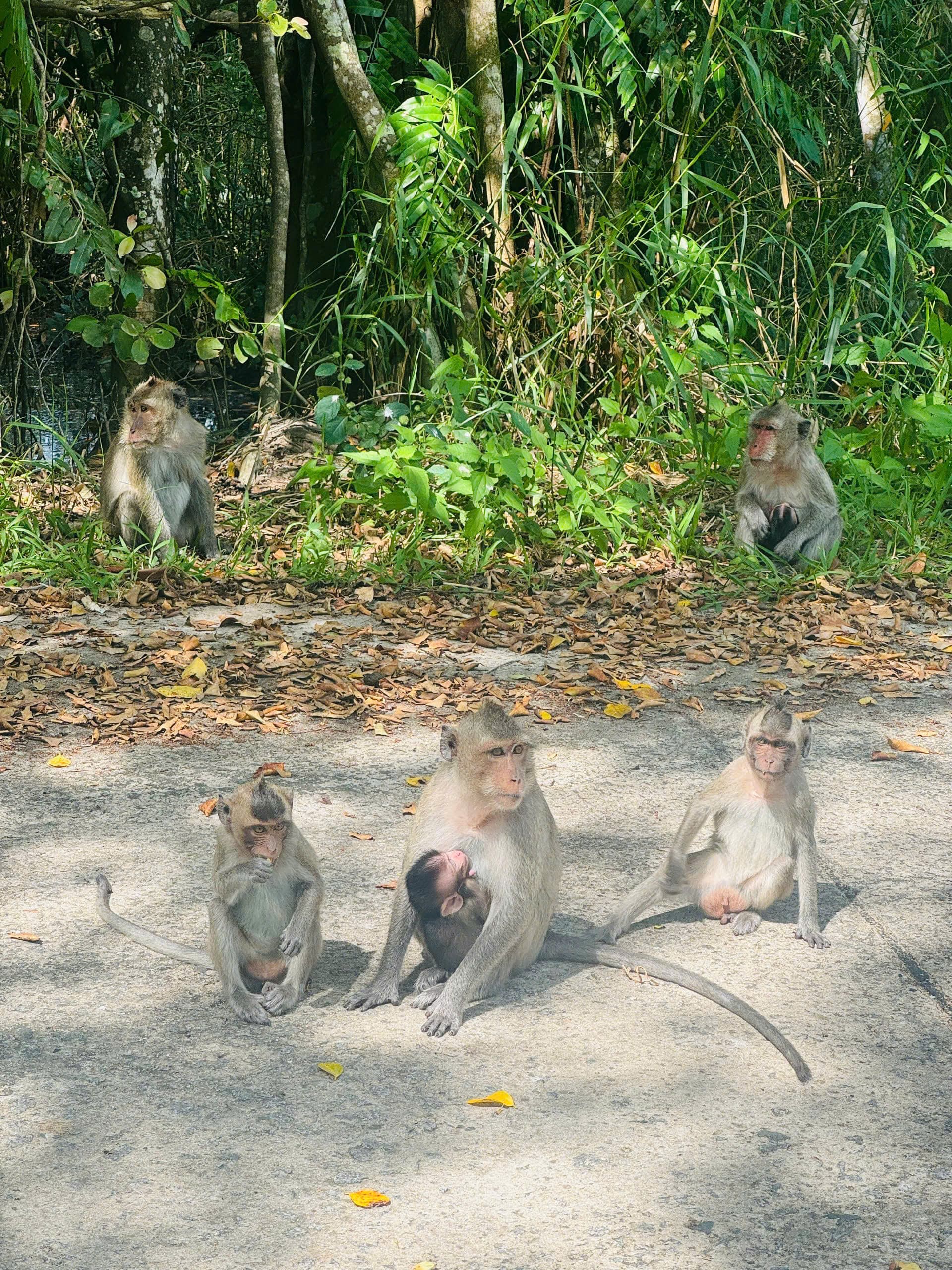 U Minh Thuong National Park Deep Exploration