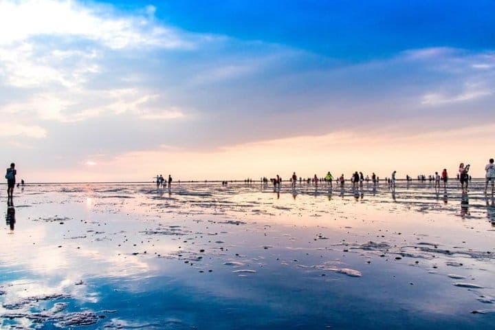 Taichung Art and Culture Tour