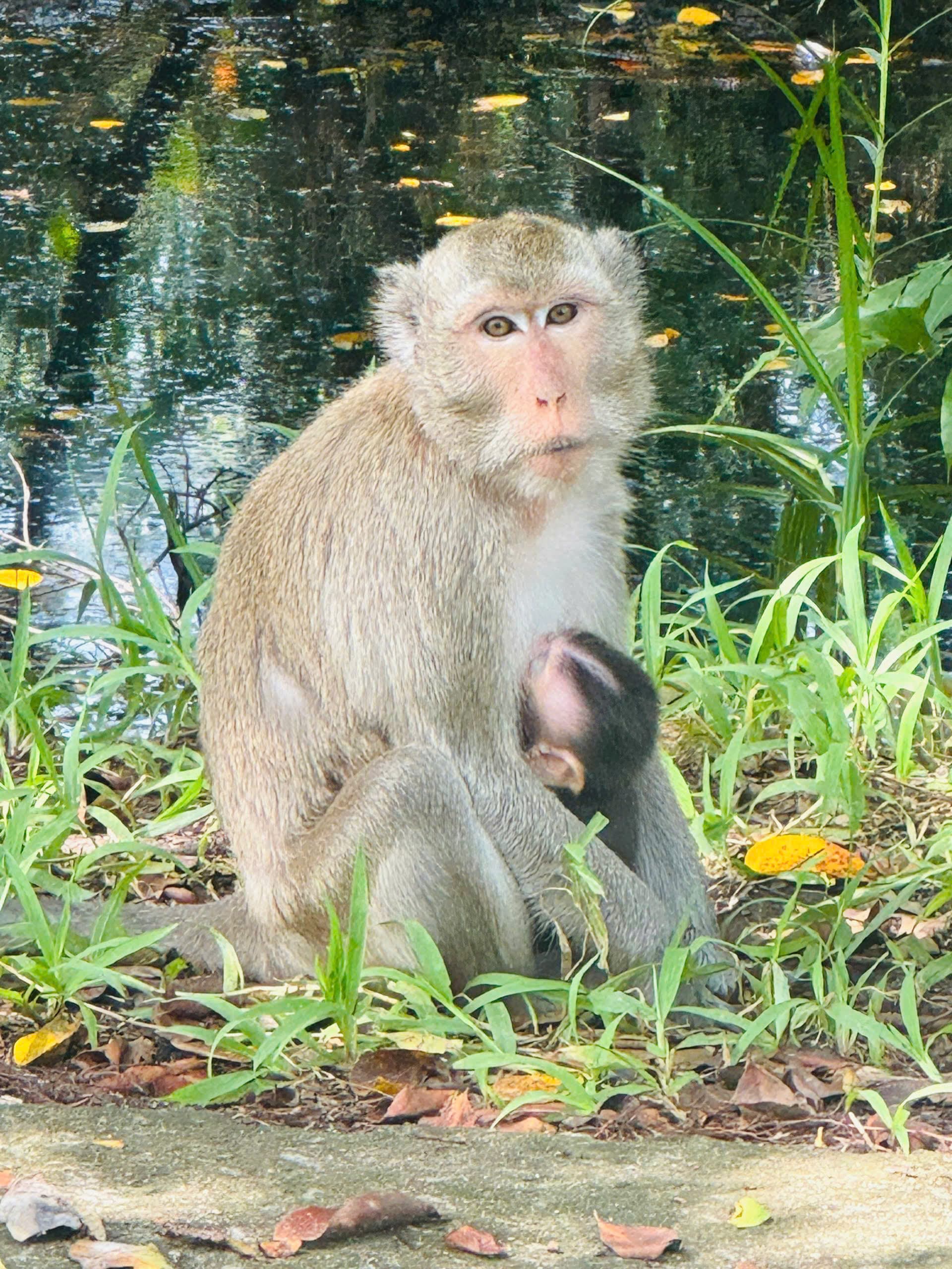U Minh Thuong National Park Deep Exploration