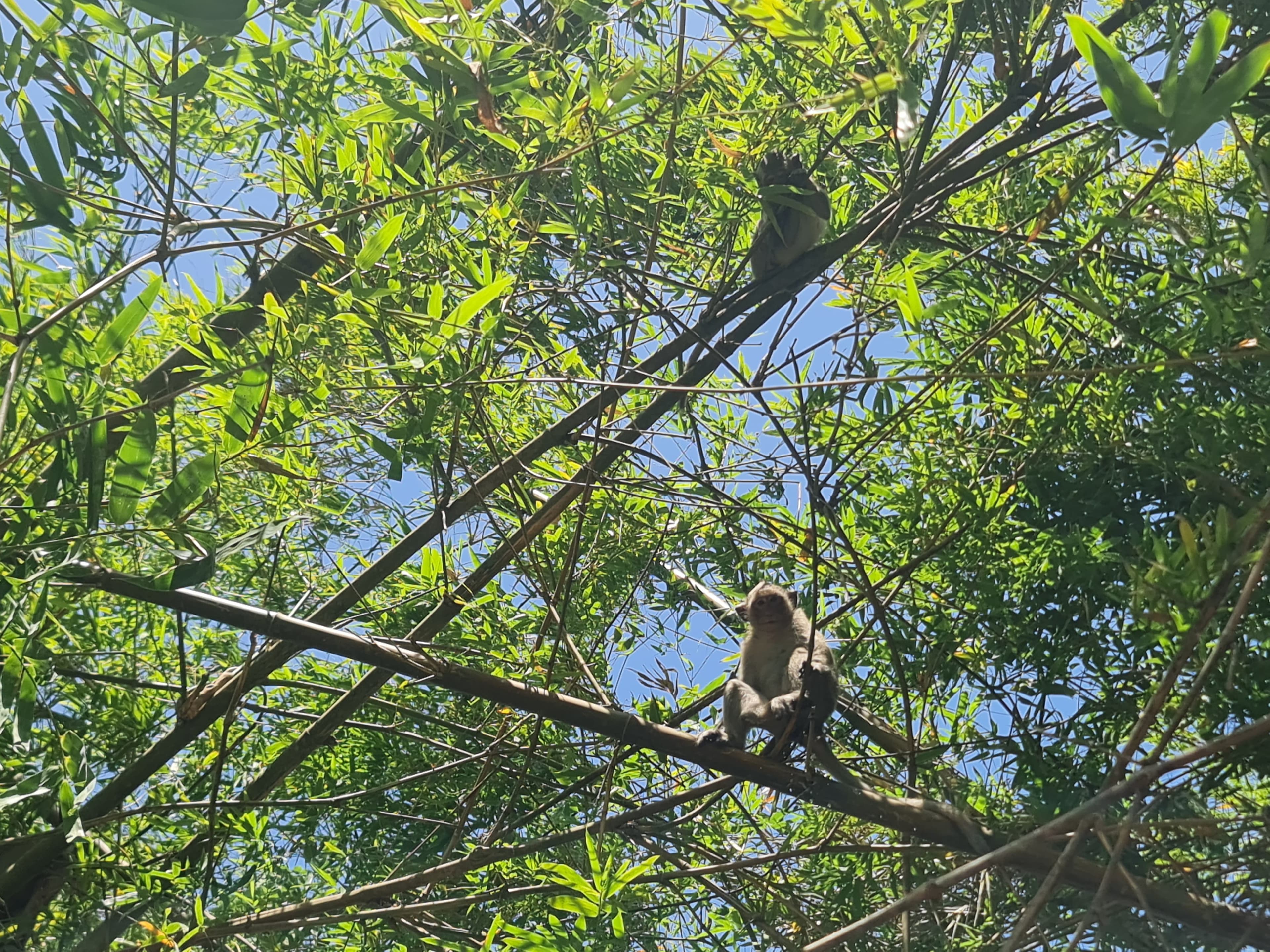 U Minh Thuong National Park Deep Exploration