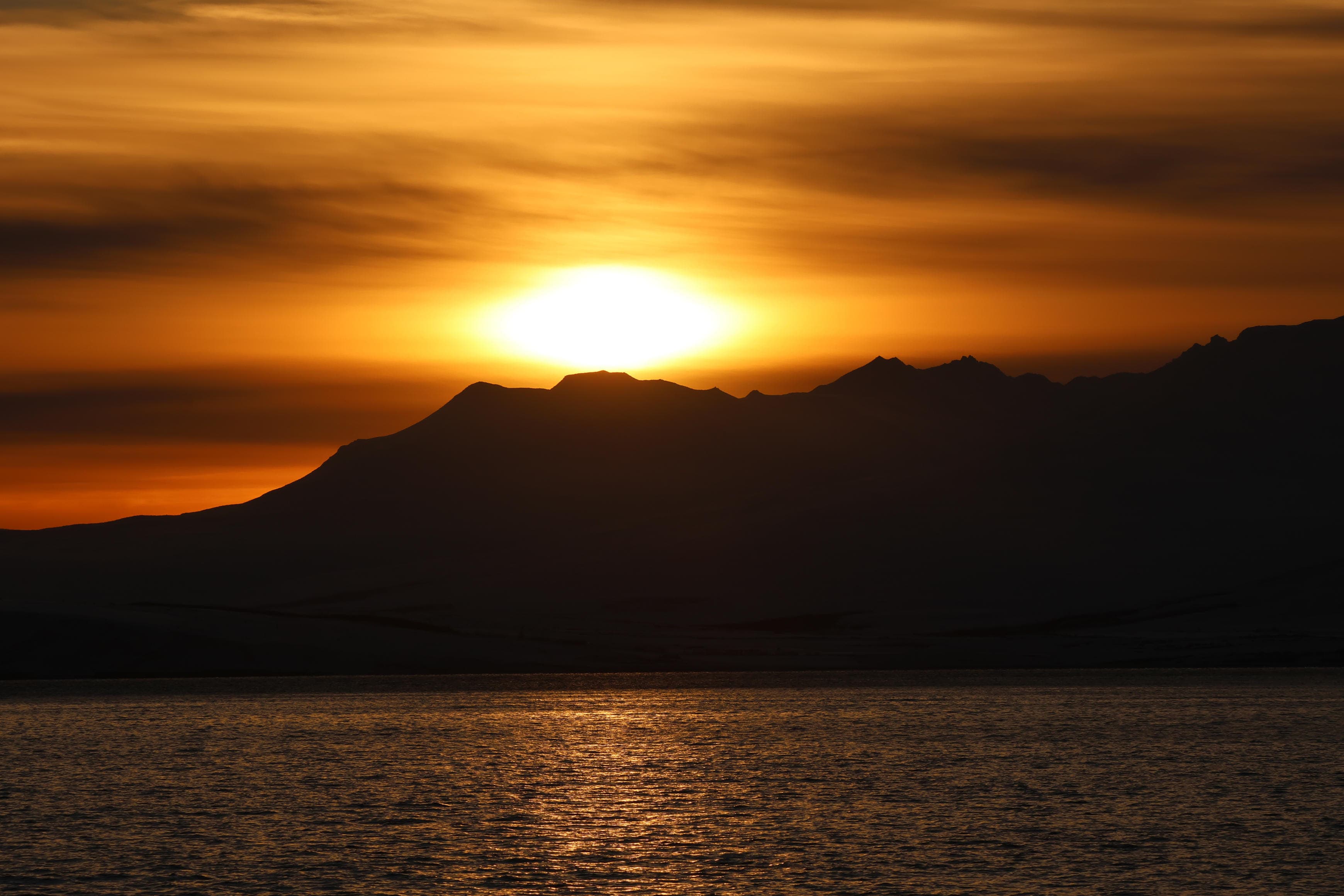 Akureyri Express Whales in the Midnight Sun