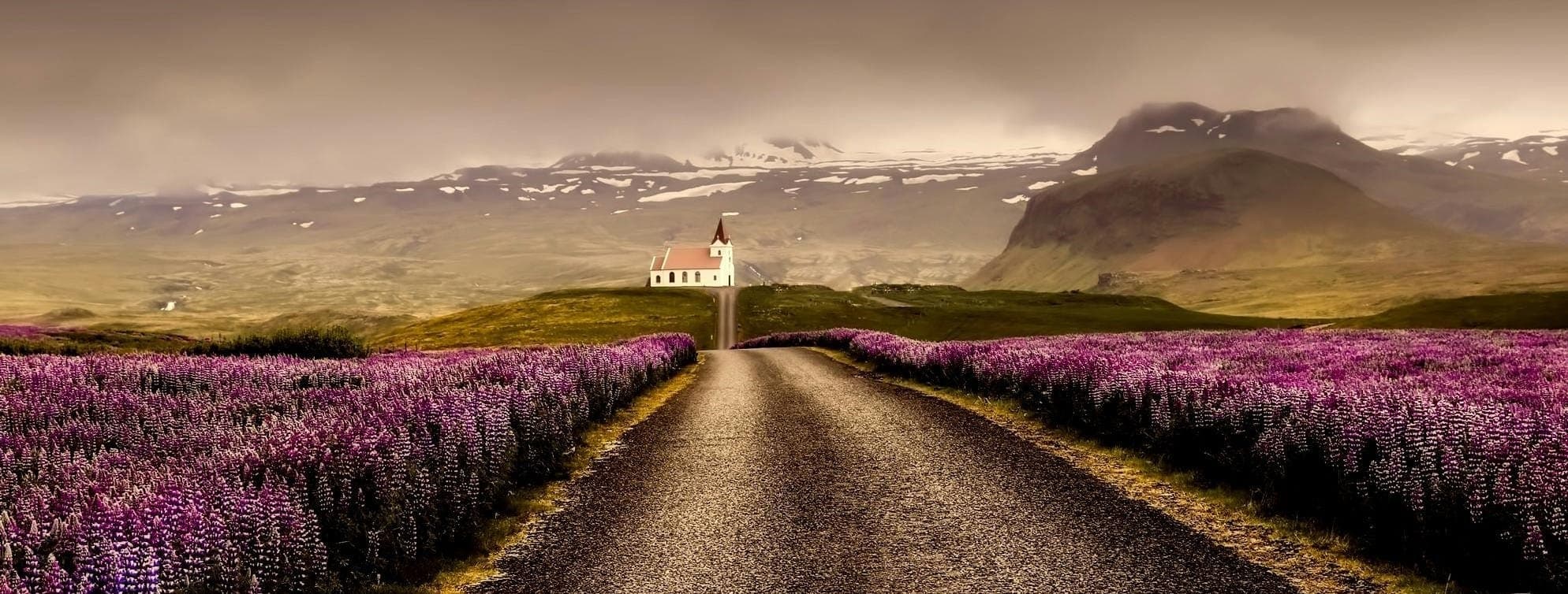Iceland Solar Eclipse 2026 – Snæfellsnes Experience with Home-Cooked Dinner by Minibus