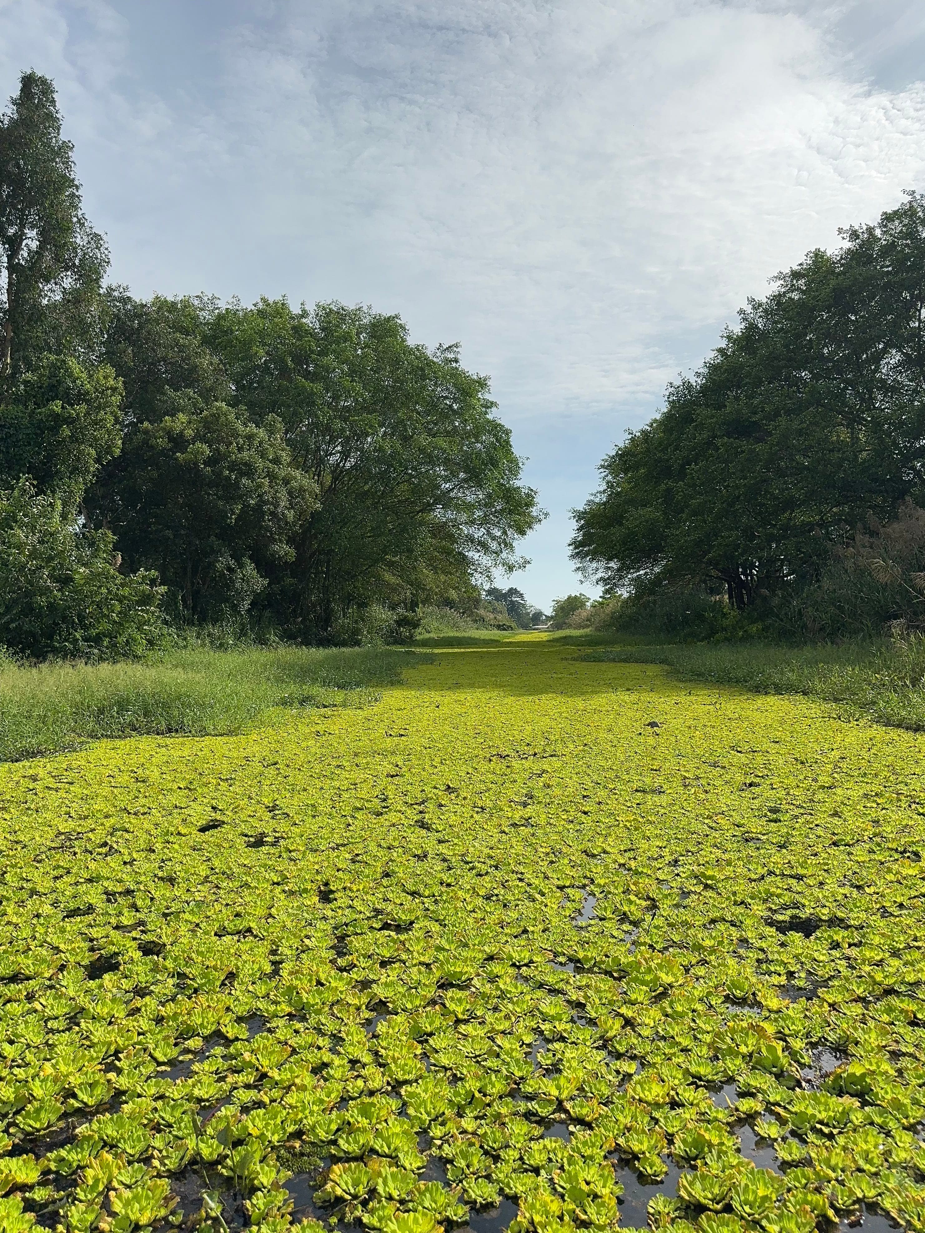 U Minh Thuong National Park Deep Exploration
