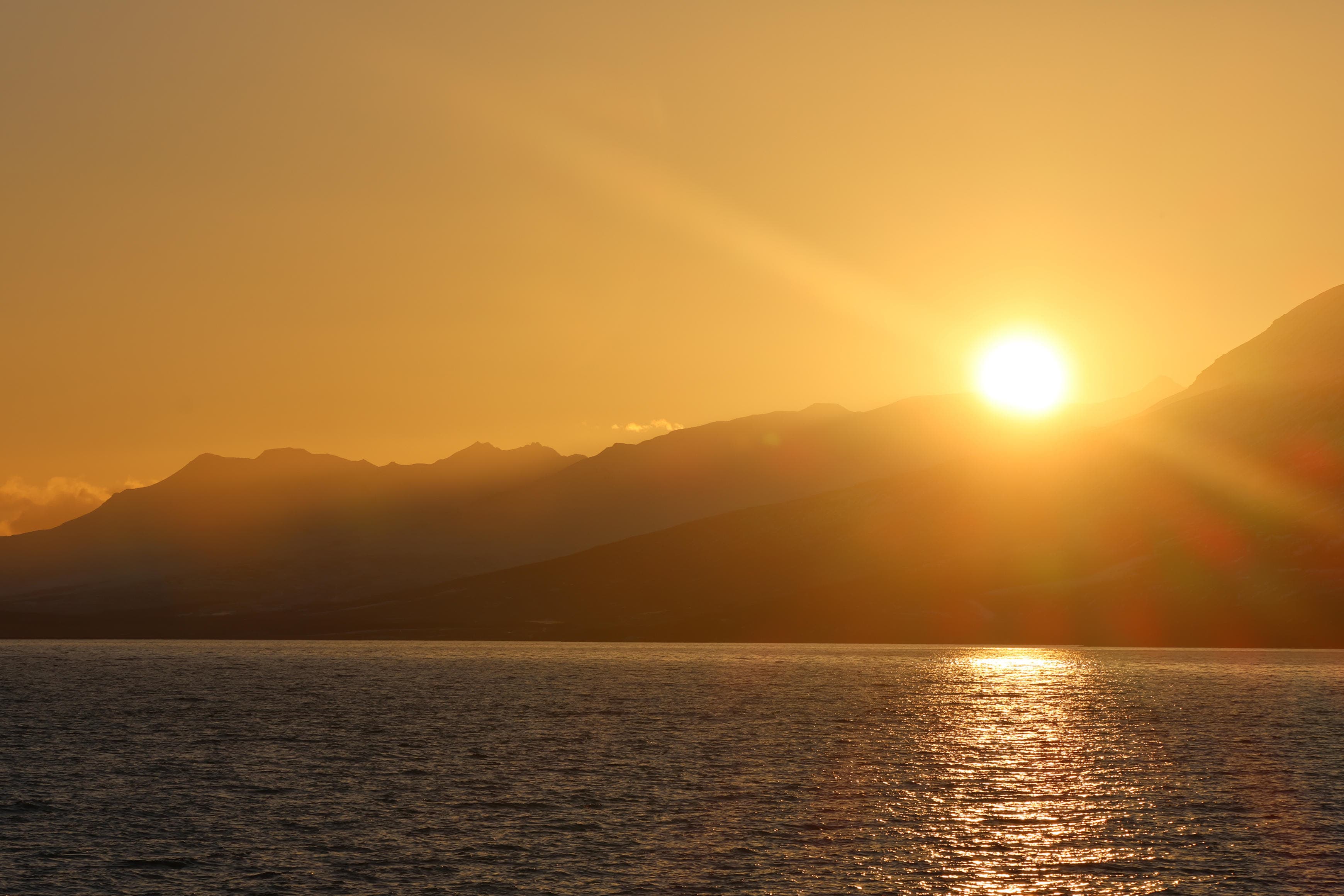 Akureyri Express Whales in the Midnight Sun