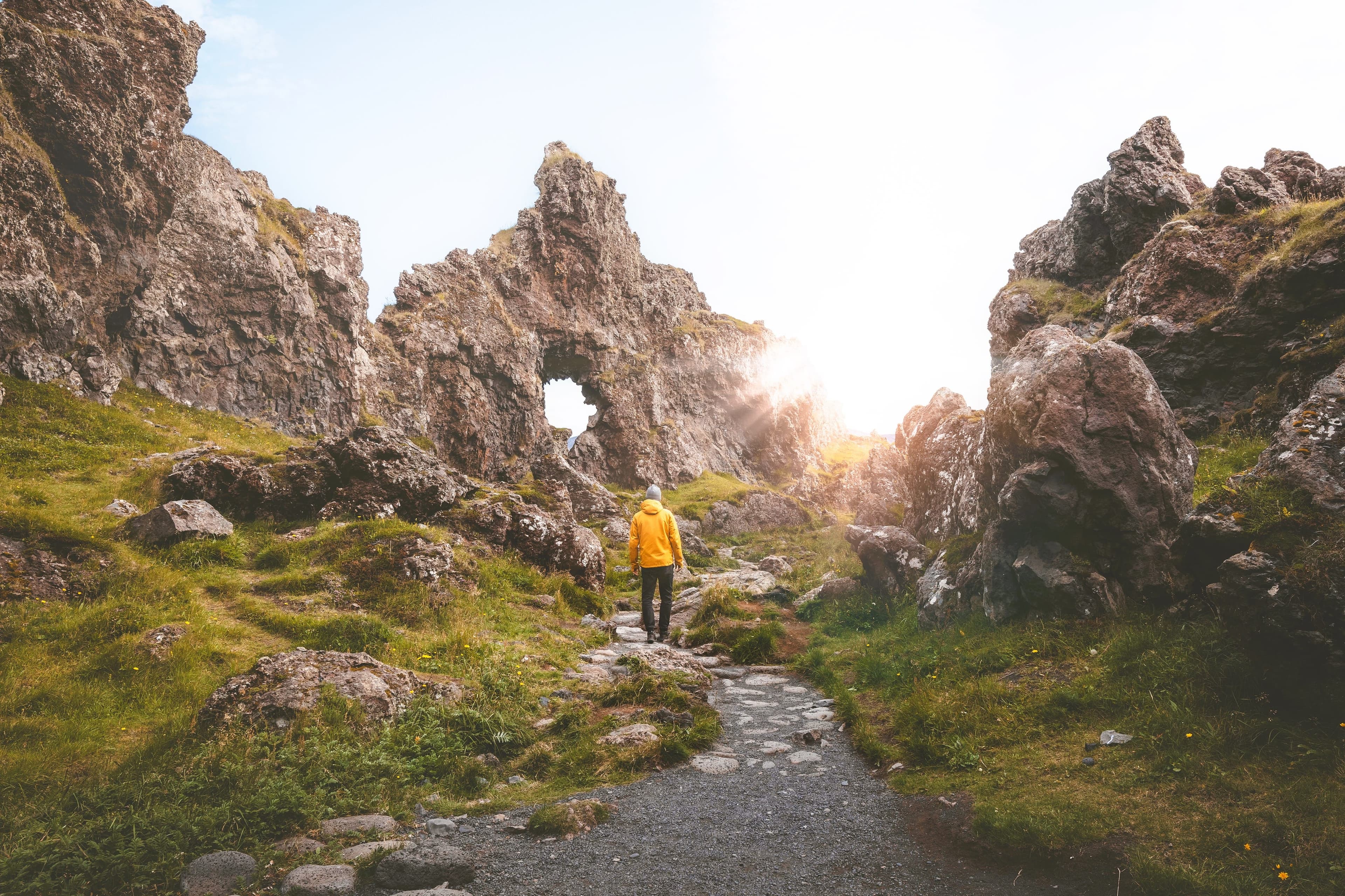 Iceland Solar Eclipse 2026 – Snæfellsnes Experience with Home-Cooked Dinner by Minibus