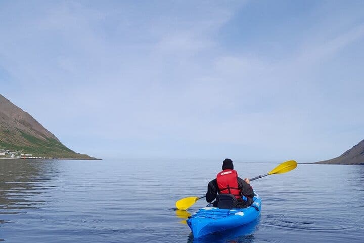 Guided kayak tour in Siglufjörður / Siglufjordur.