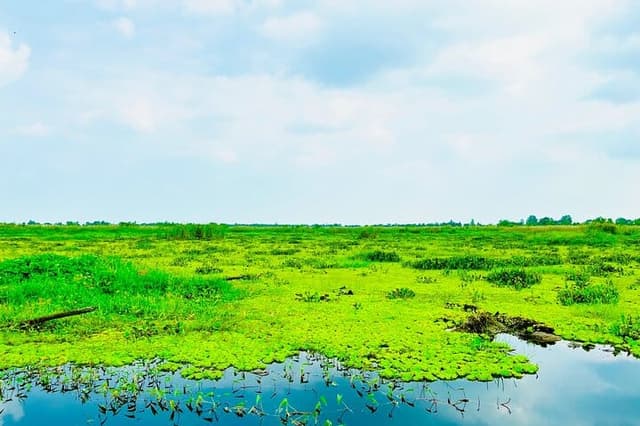 U Minh Thuong National Park Deep Exploration