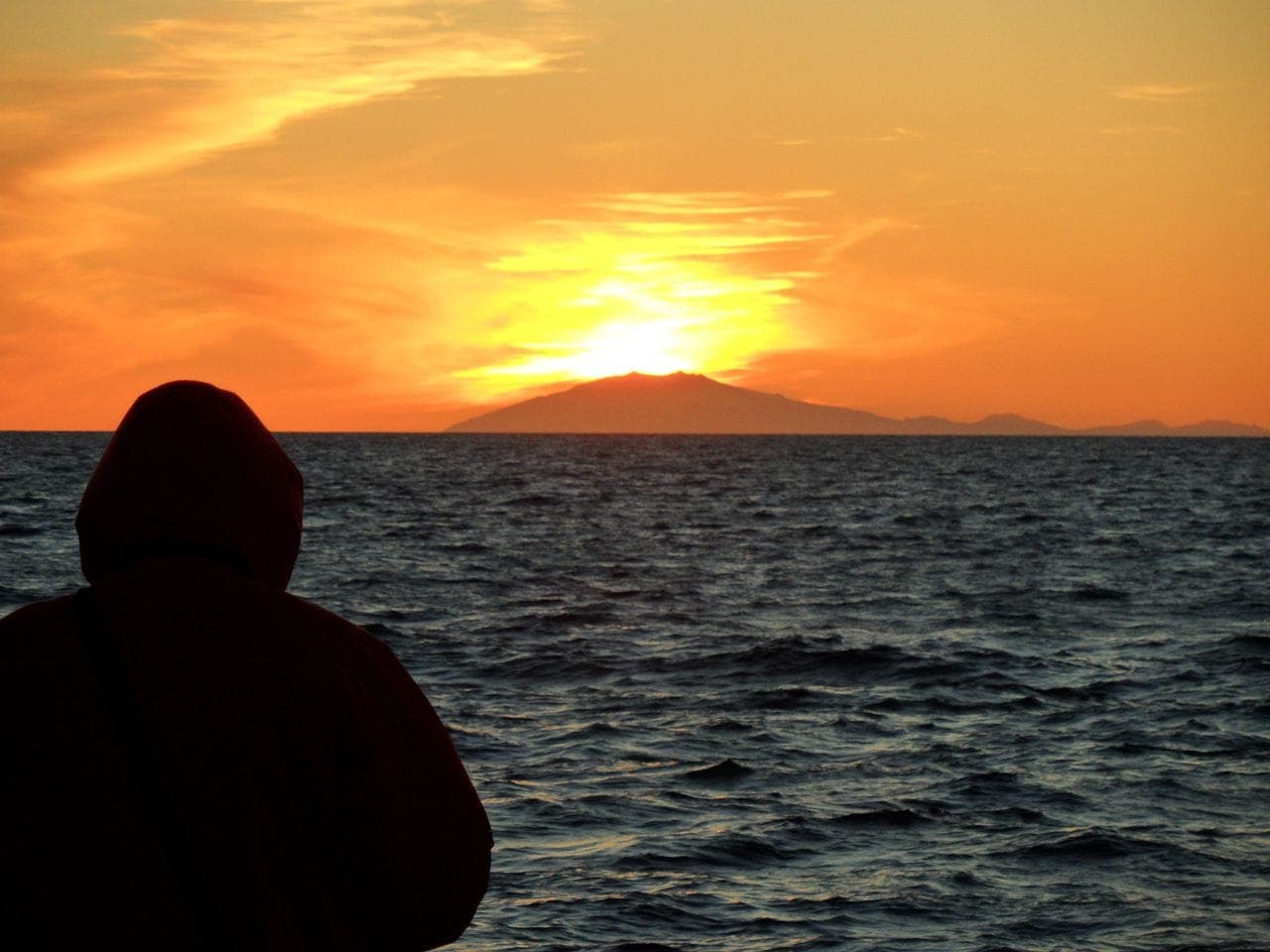 Reykjavík Classic Whales in the Midnight Sun