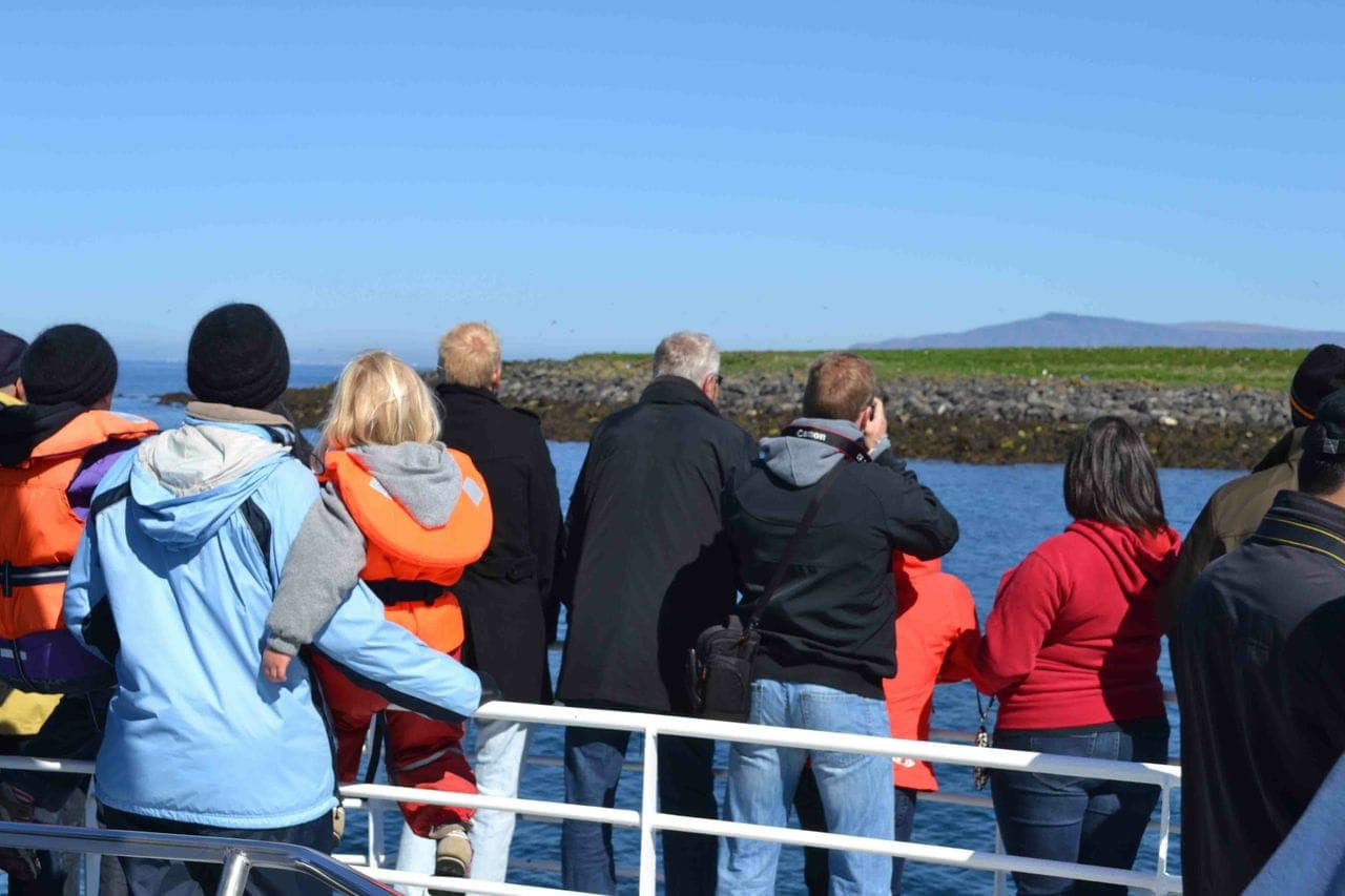 Reykjavík Classic Puffin Watching