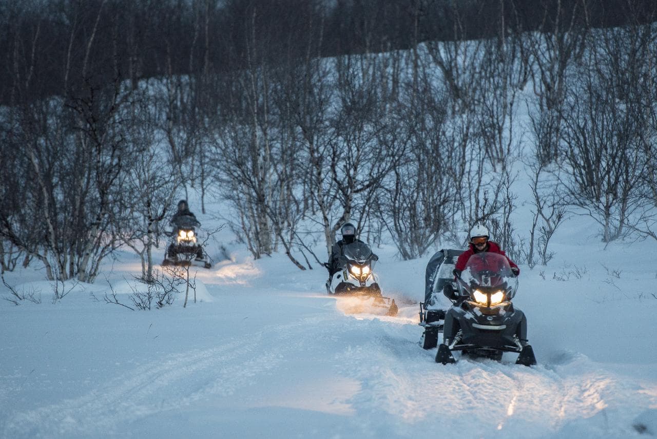 Abisko National Park Snowmobile Tour | Swedish Lapland