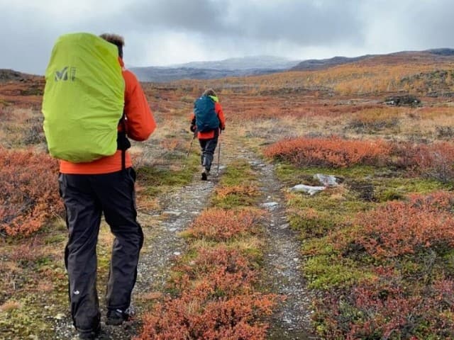 Abisko Autumn Hike