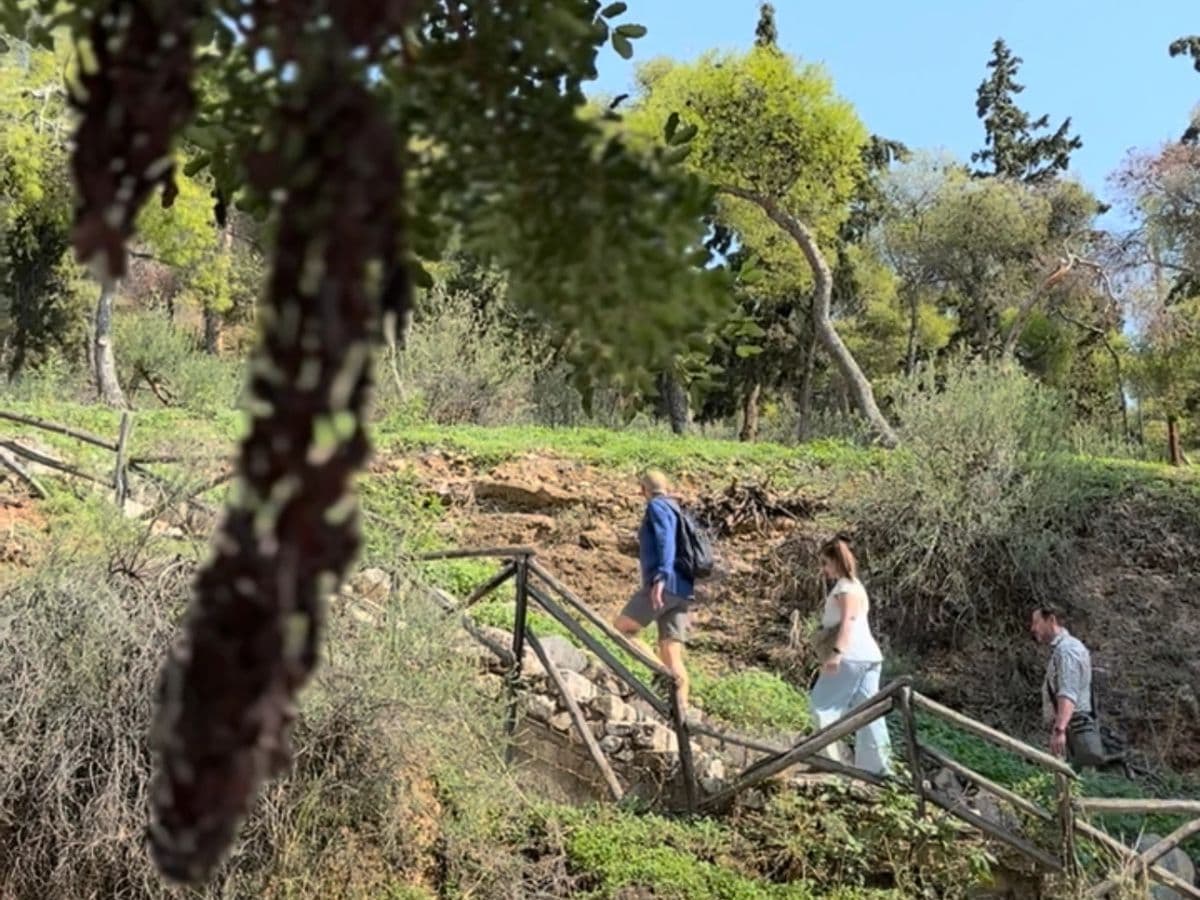 Athens Coffee Walk to Kolonaki and Lycabettus Hilltop