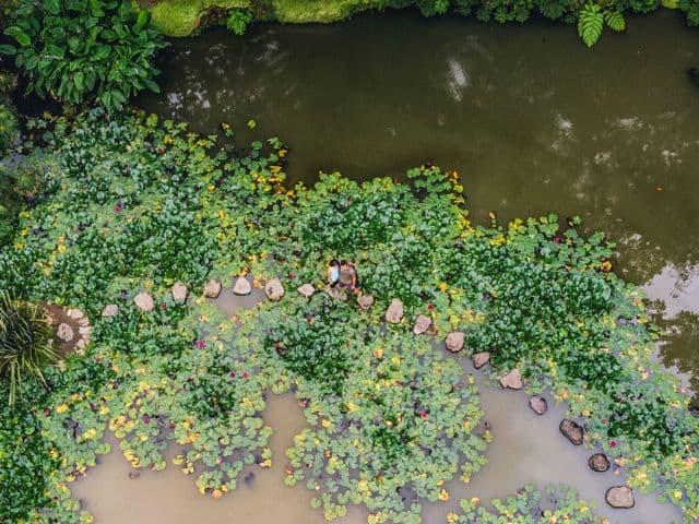 Furnas Botanic Gardens & Hot Springs [Oct-Jun] | Azores