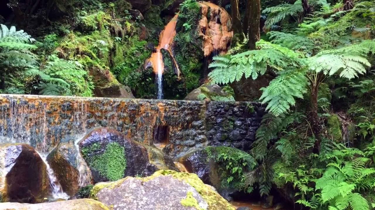 Furnas Botanic Gardens & Hot Springs [Oct-Jun] | Azores