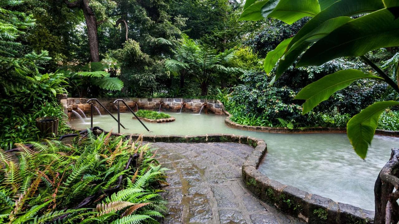 Furnas Botanic Gardens & Hot Springs [Oct-Jun] | Azores