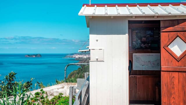 Whale watching & Azorean Whalers Heritage