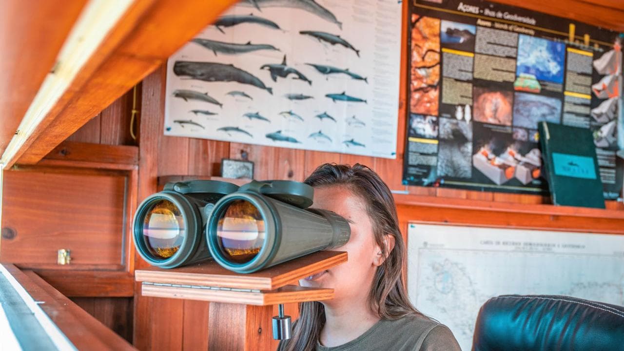 Whale watching & Azorean Whalers Heritage