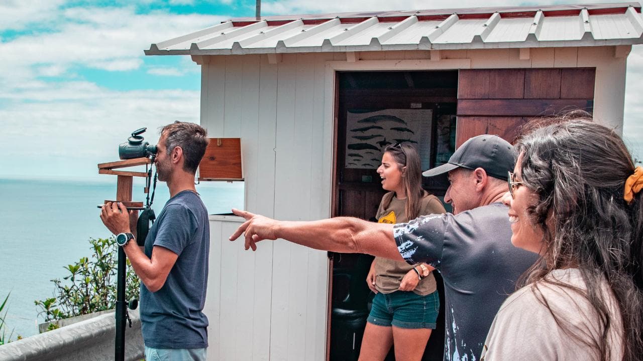 Whale watching & Azorean Whalers Heritage