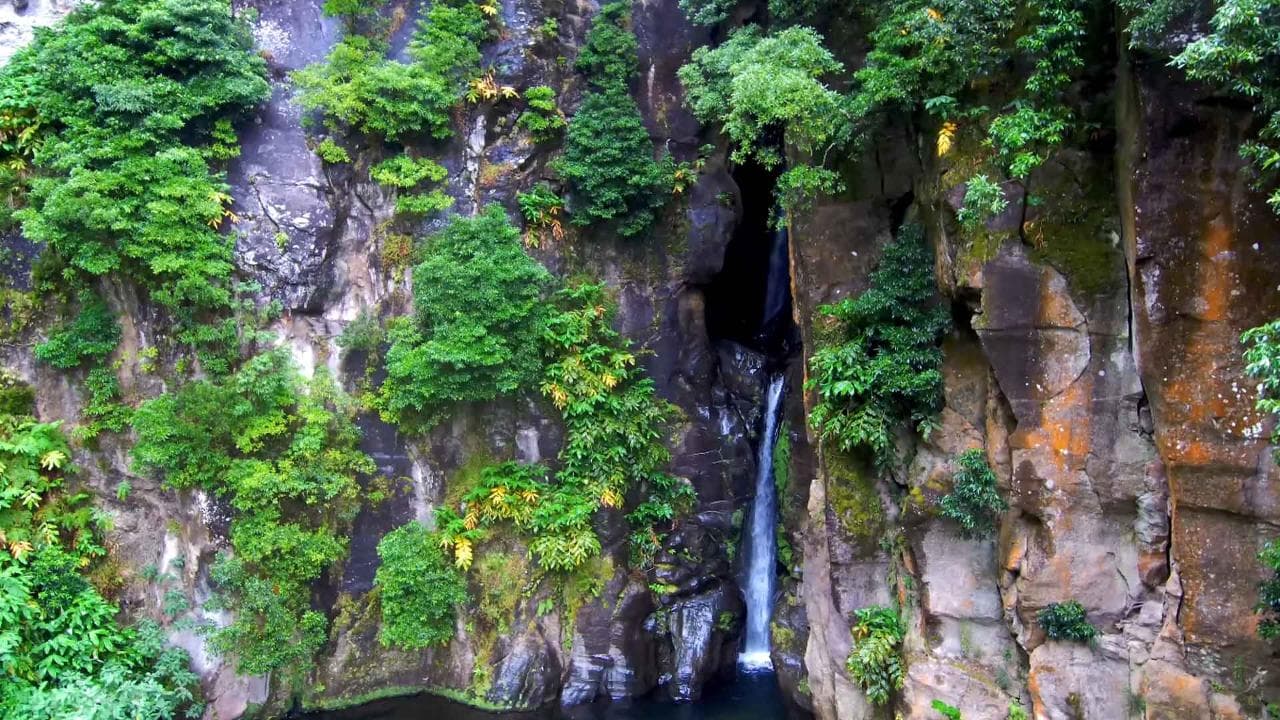 Whale watching & Lagoa do Fogo Volcano [Oct-Jun]