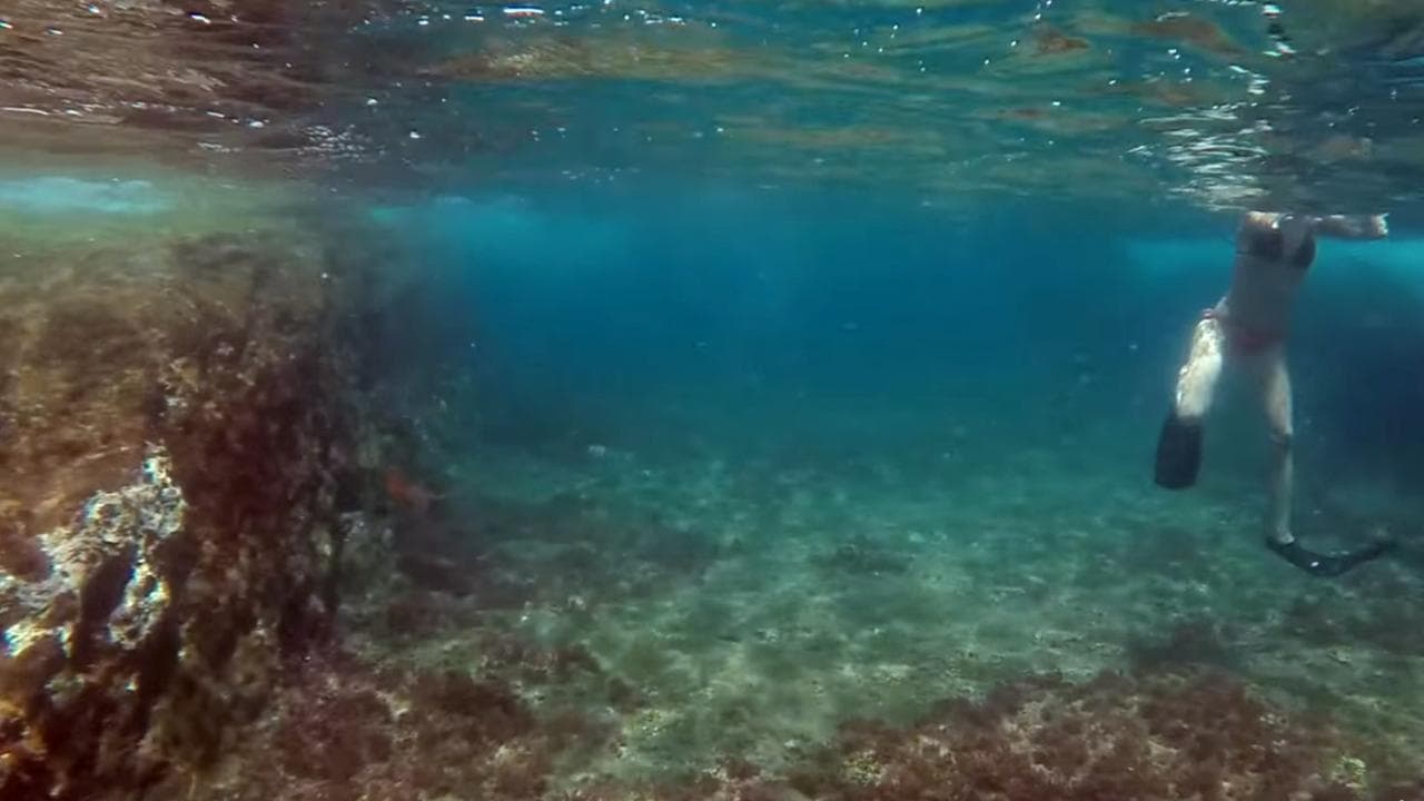 Whale watching & the Princess Ring Islet [Jun-Oct]