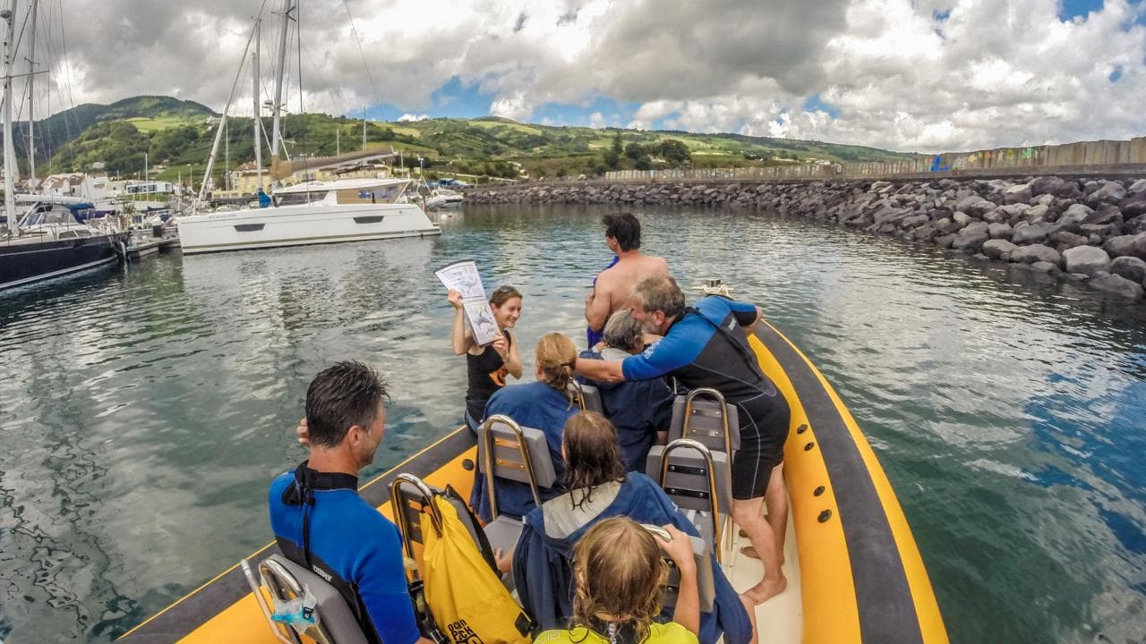 Vila Franca Islet Off-coast Reserve Tour [Oct-Apr] | Azores